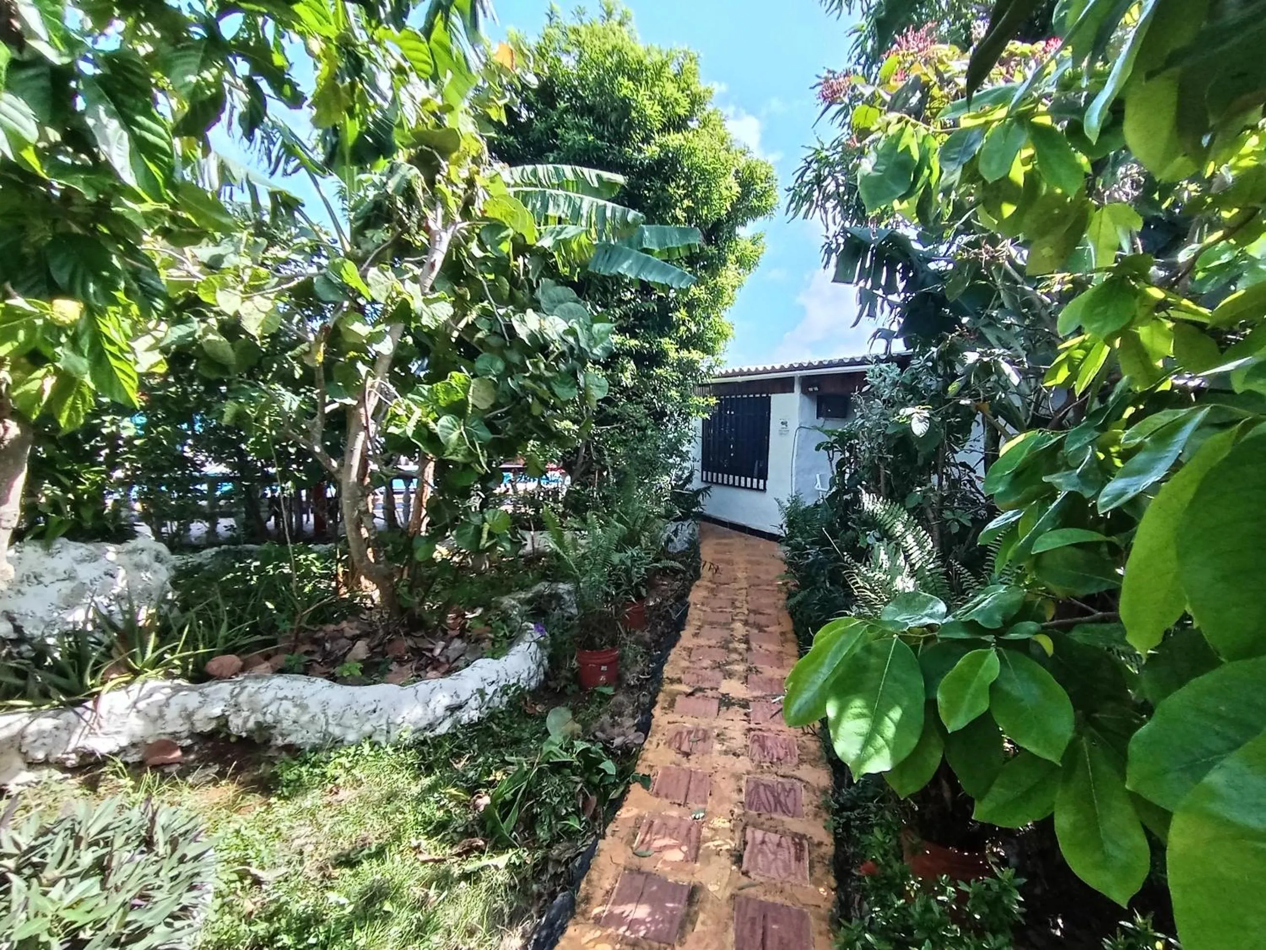 Garden view in Hospedaje Turistico Angula Place