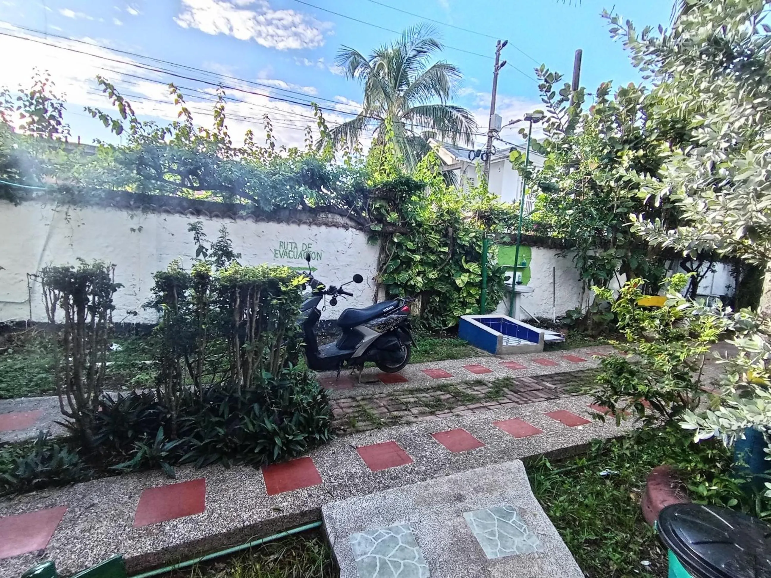 Garden in Hospedaje Turistico Angula Place