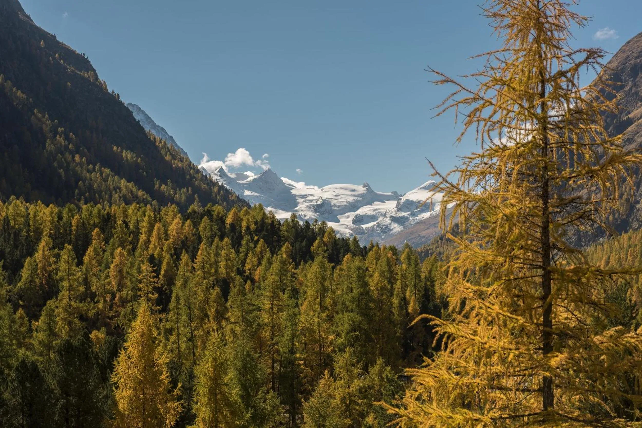 View (from property/room) in Hotel Saratz Pontresina Mountain Resort & Spa
