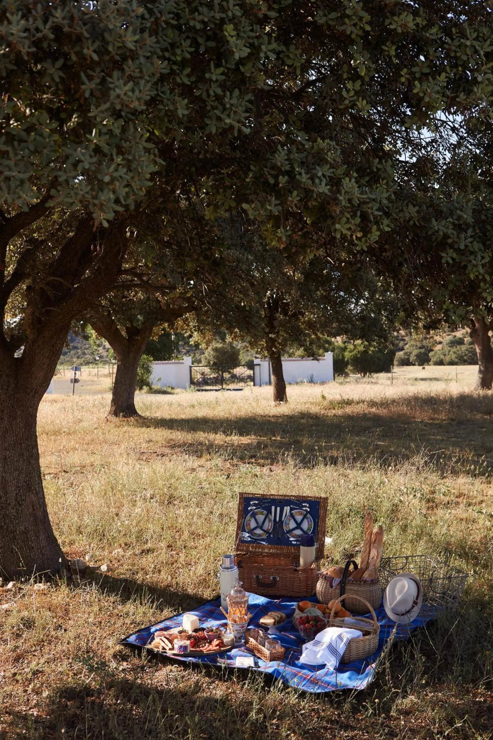 Hotel Caserio Aldeallana