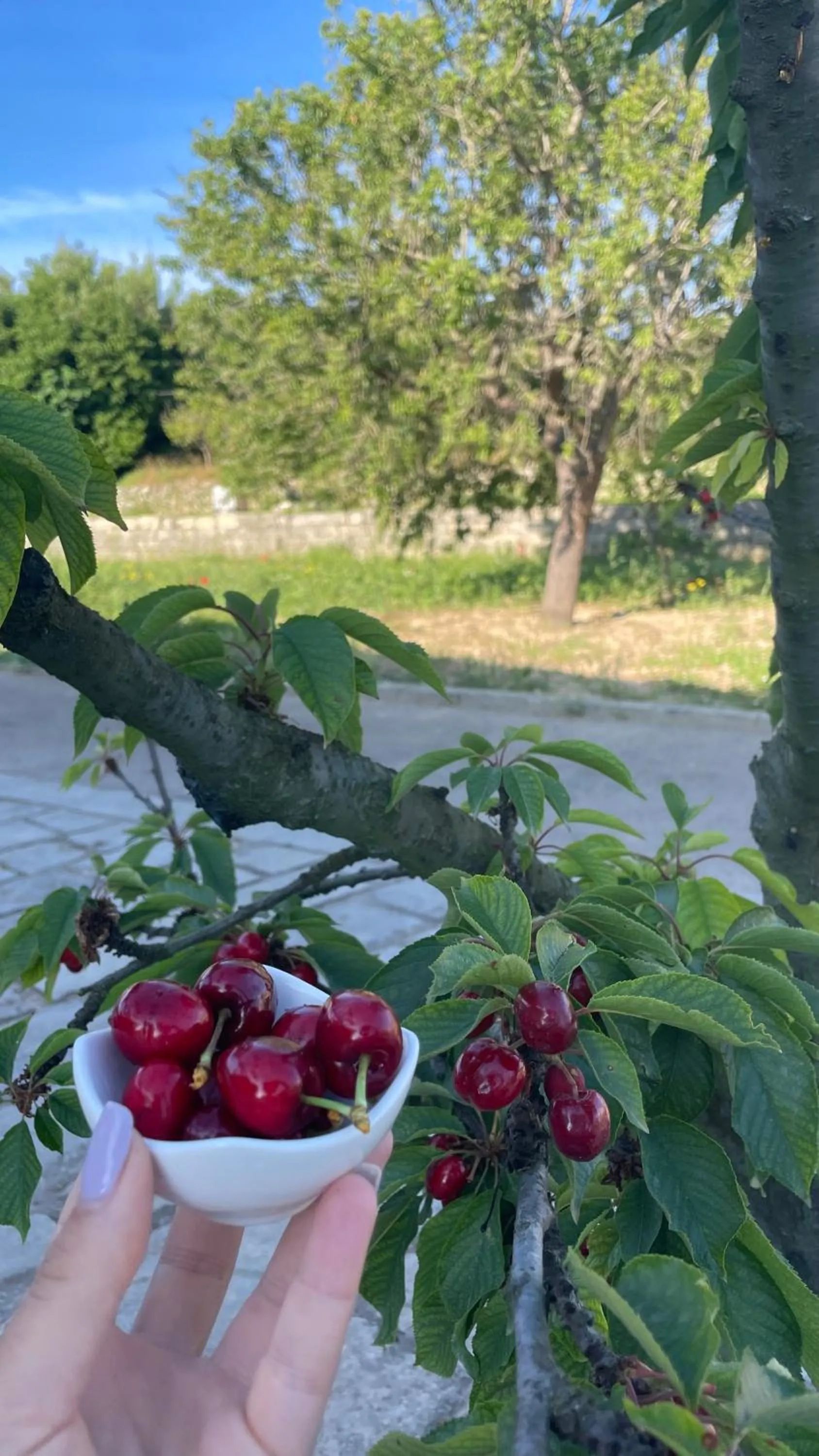 Food in Bio&B Acquaviva