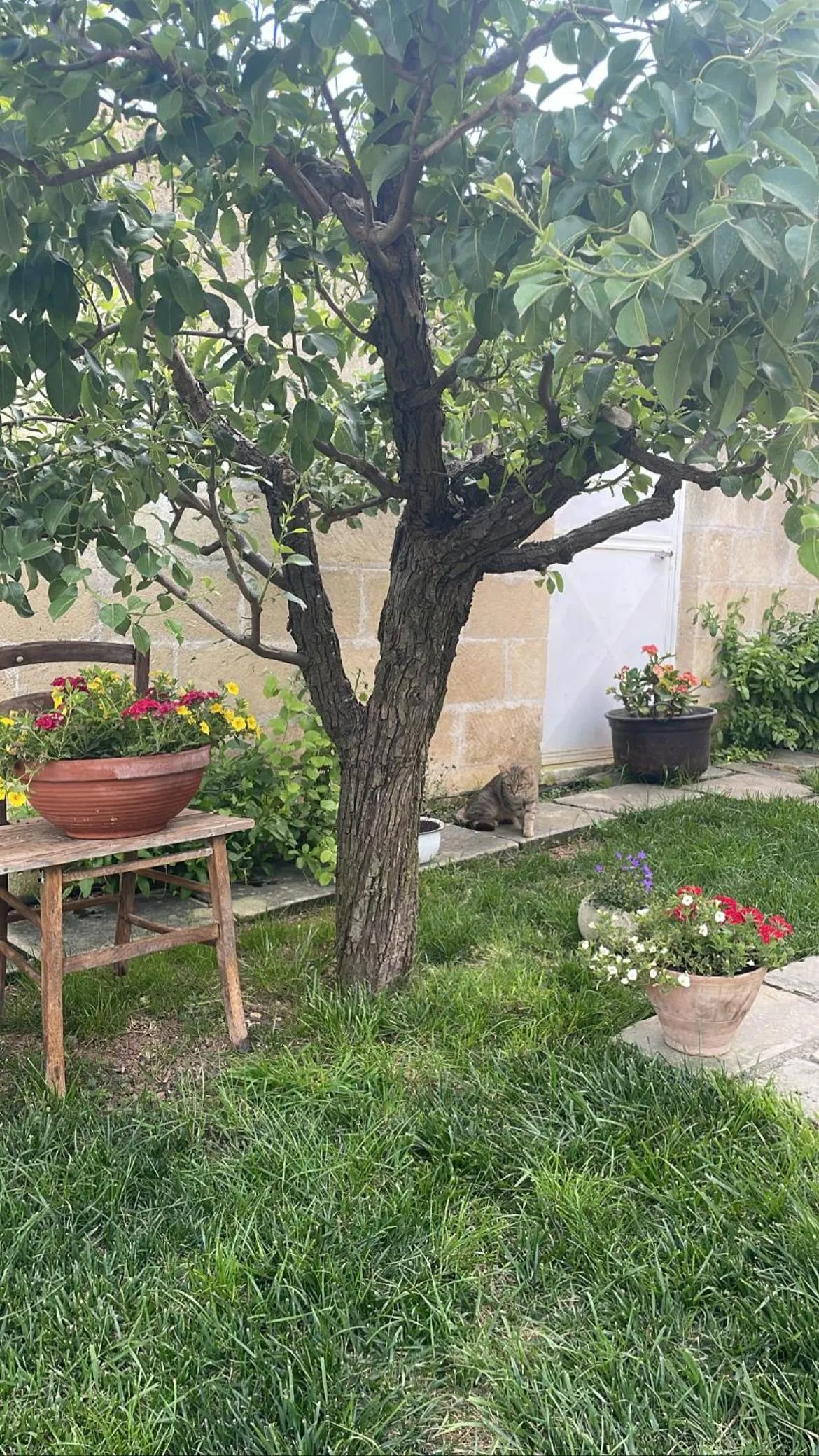 Garden in Bio&B Acquaviva