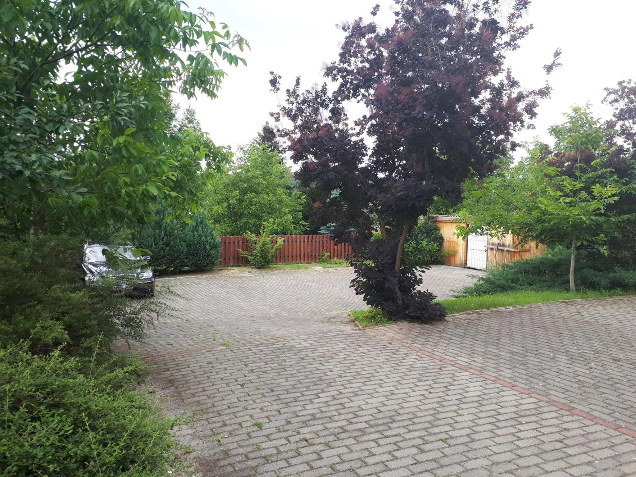 Garden in Bianka Apartmanház
