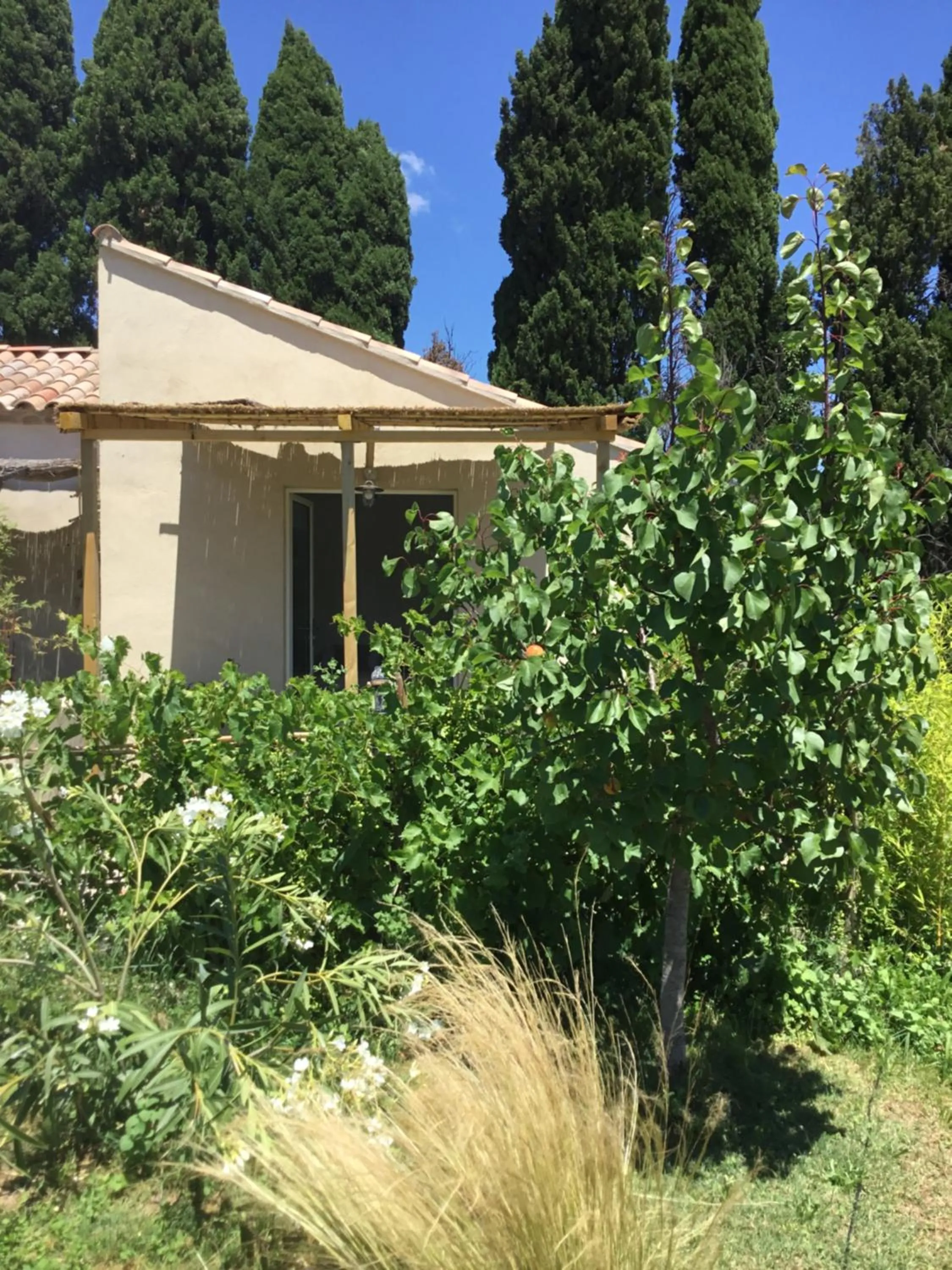 Le jardin du Castillon