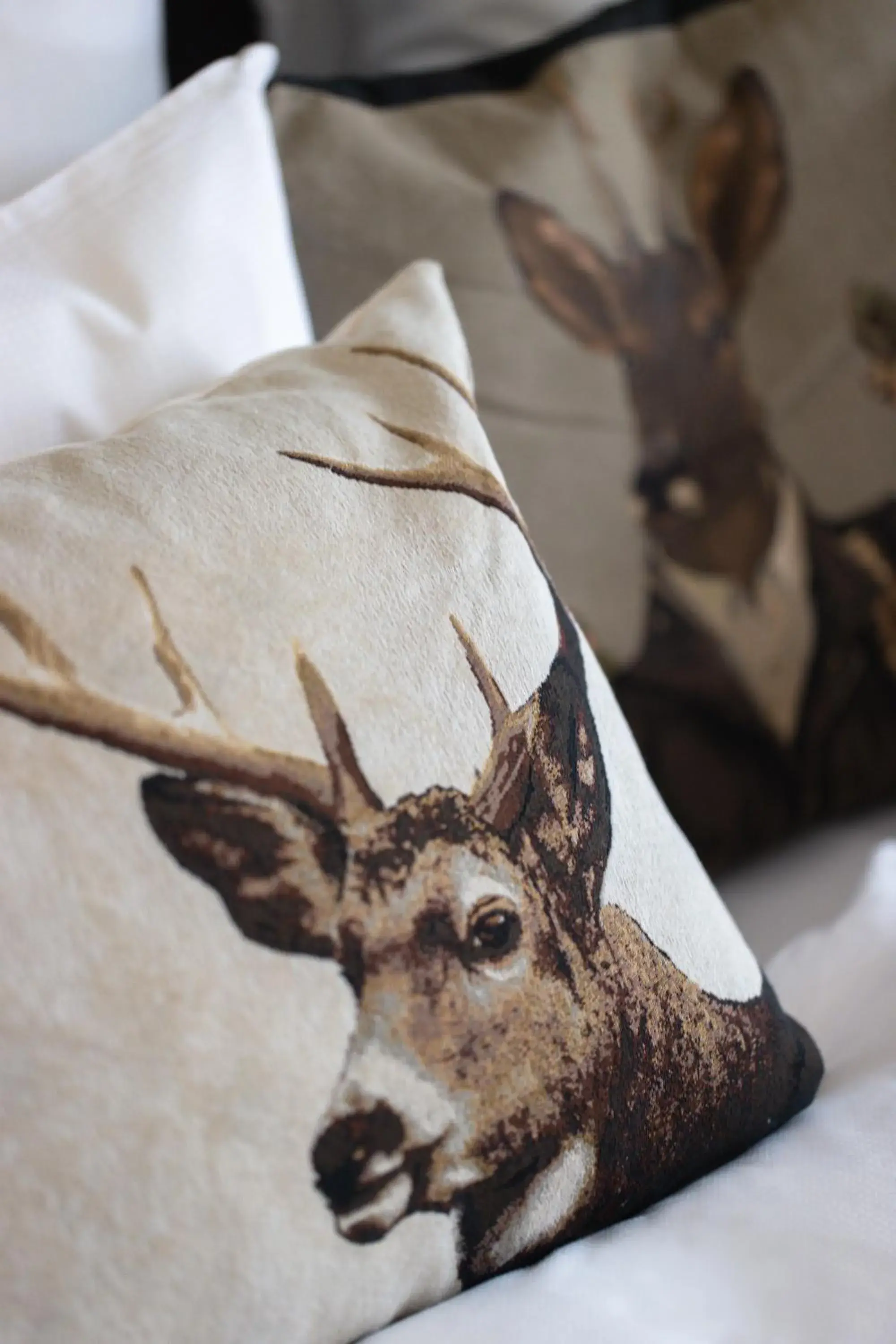 Bedroom in Hotel Adula Bedroom in Hotel Adula