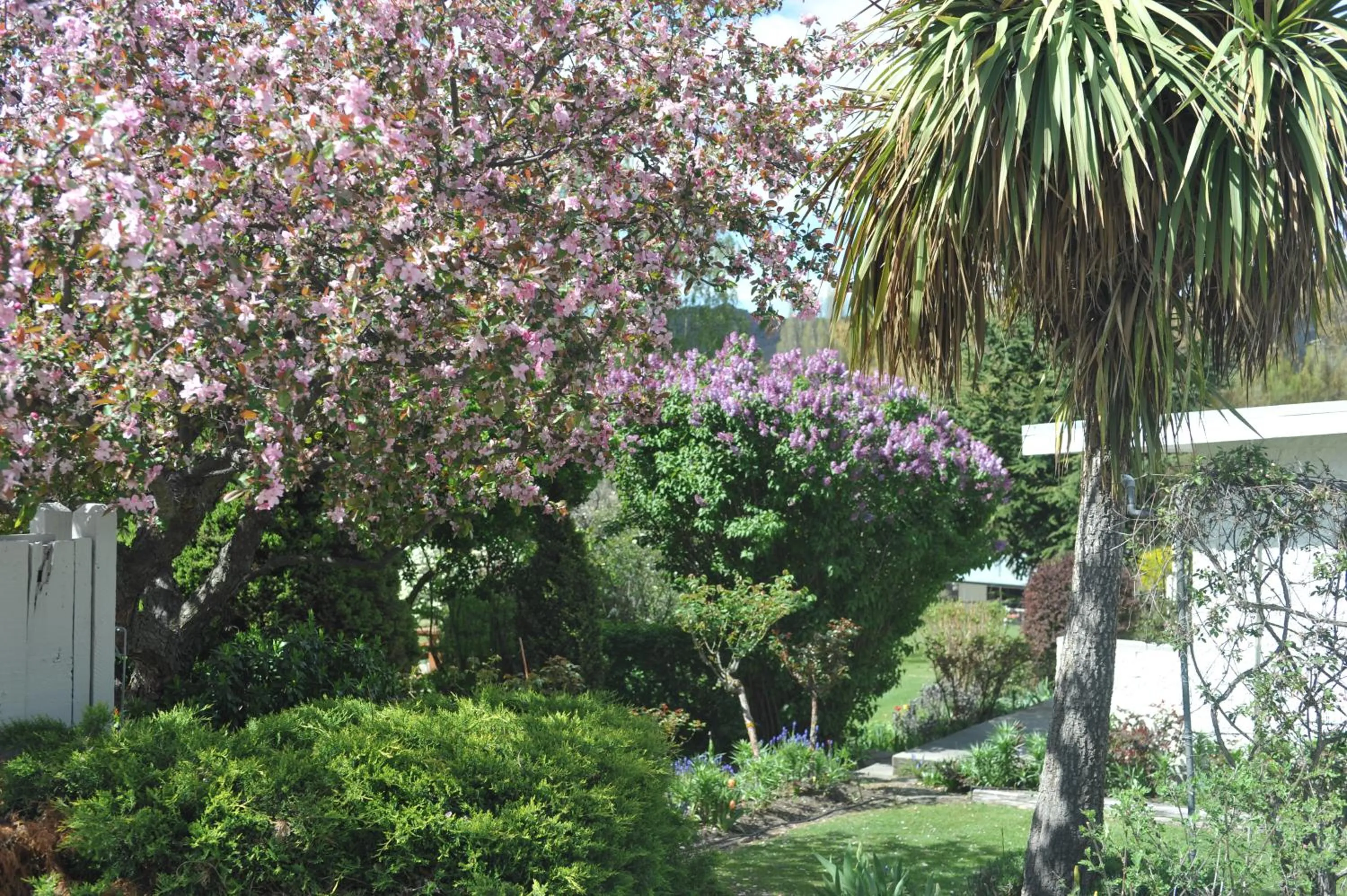 Garden in Alexandra Garden Court Motel