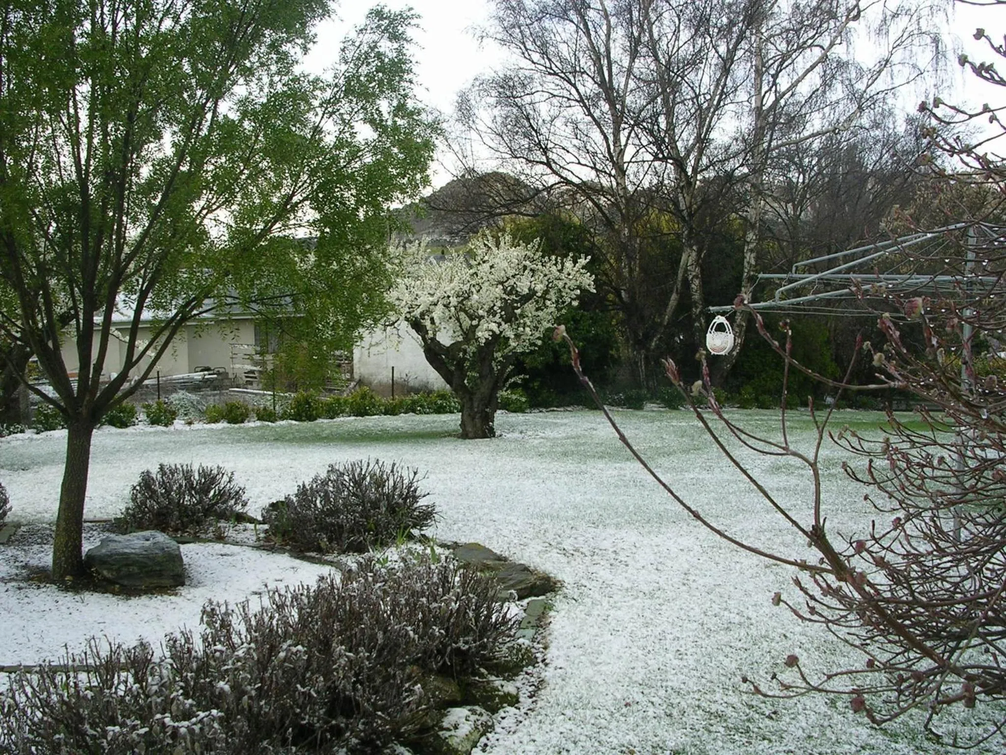 Garden in Alexandra Garden Court Motel