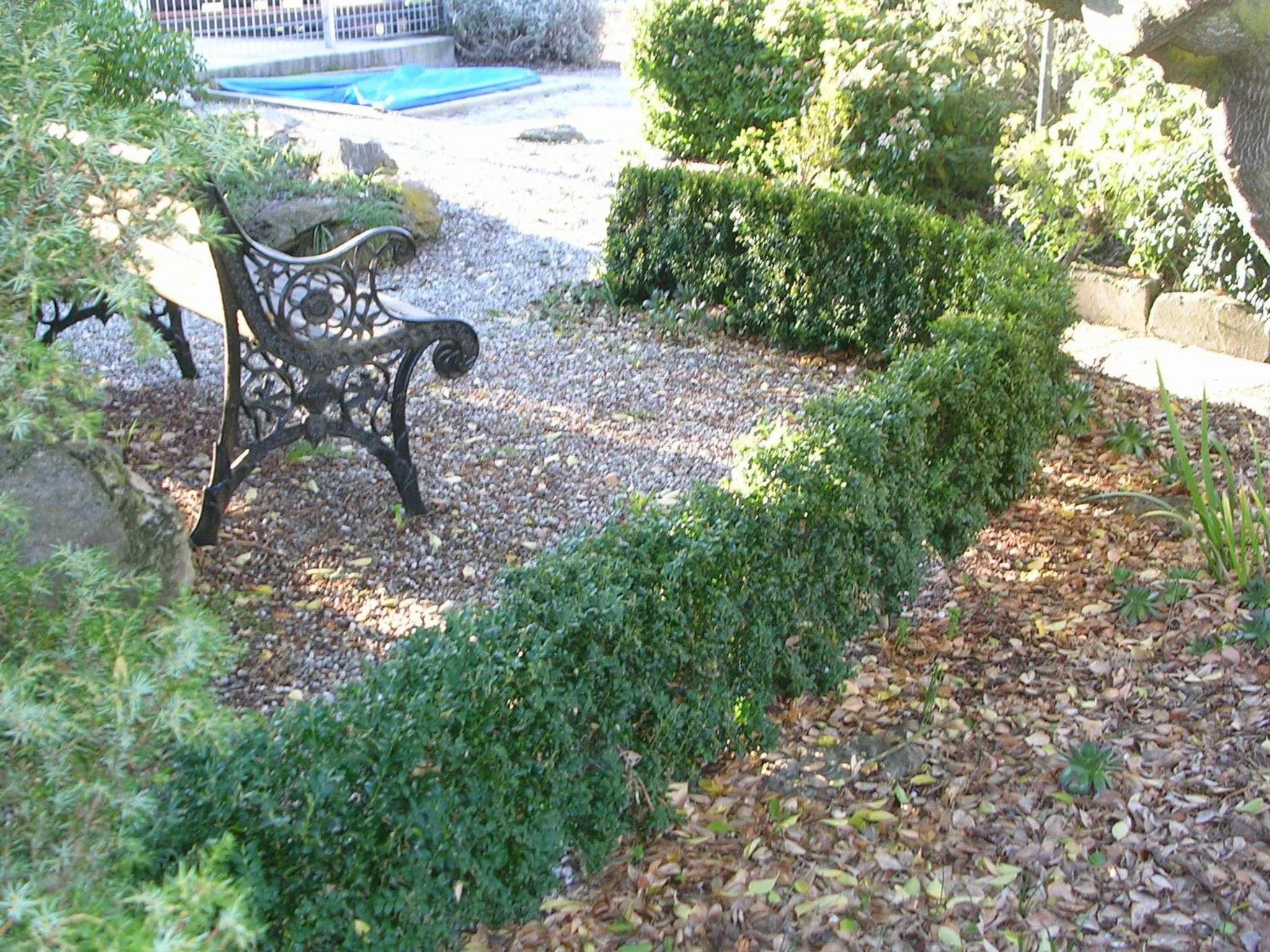 Garden in Alexandra Garden Court Motel