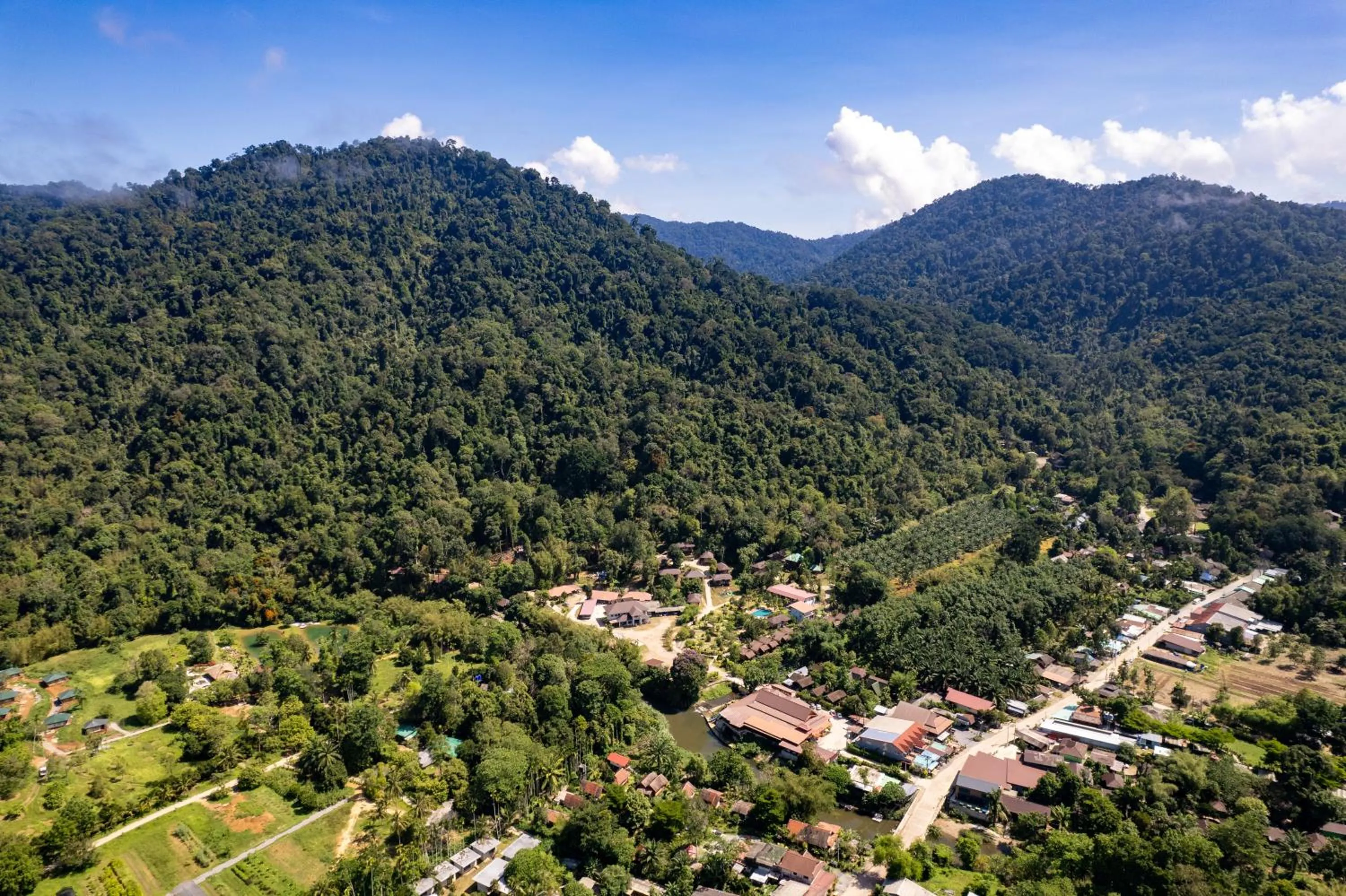 Khaosok Rainforest Resort