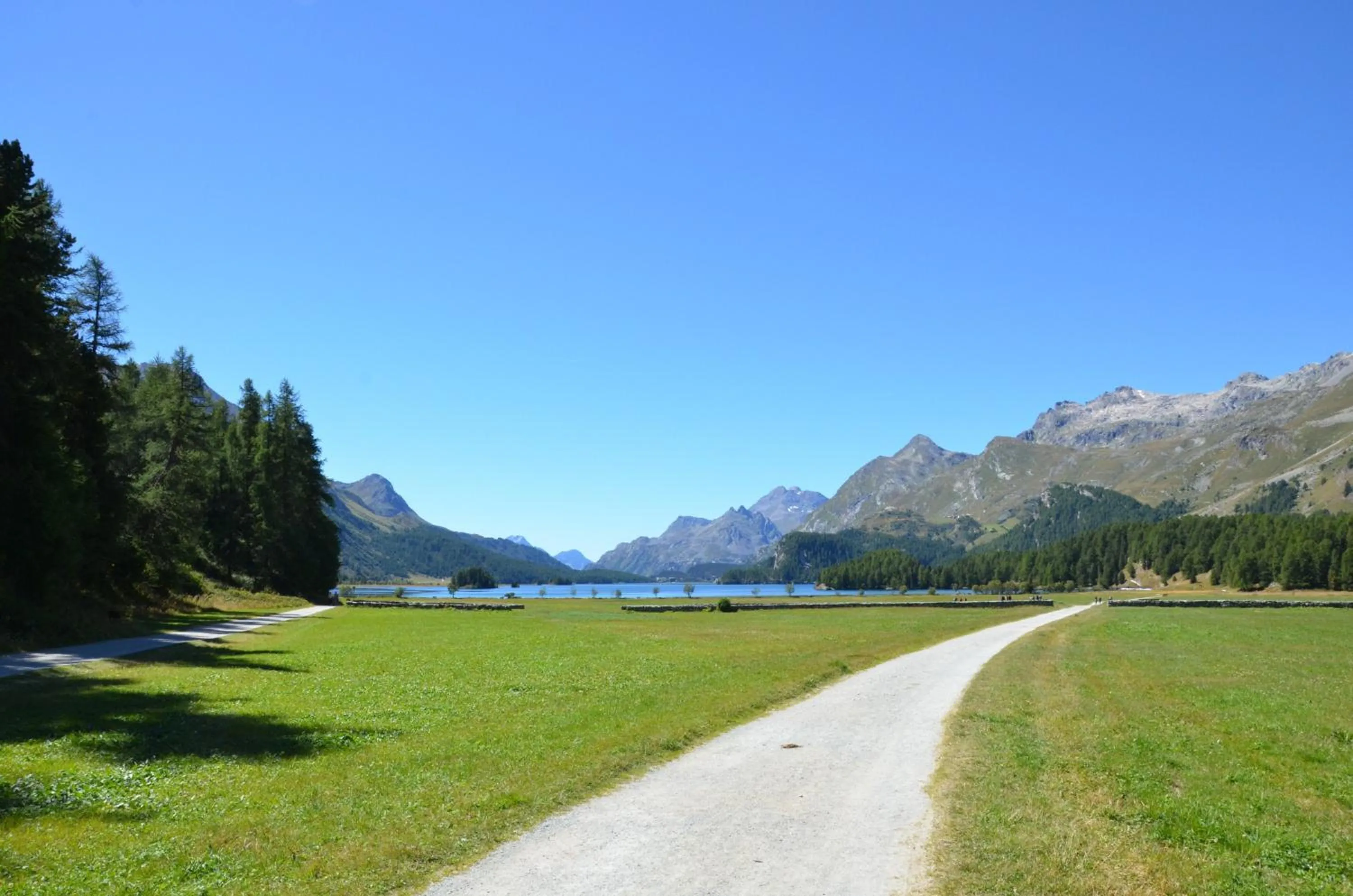 Area and facilities in Hotel Waldhaus Sils