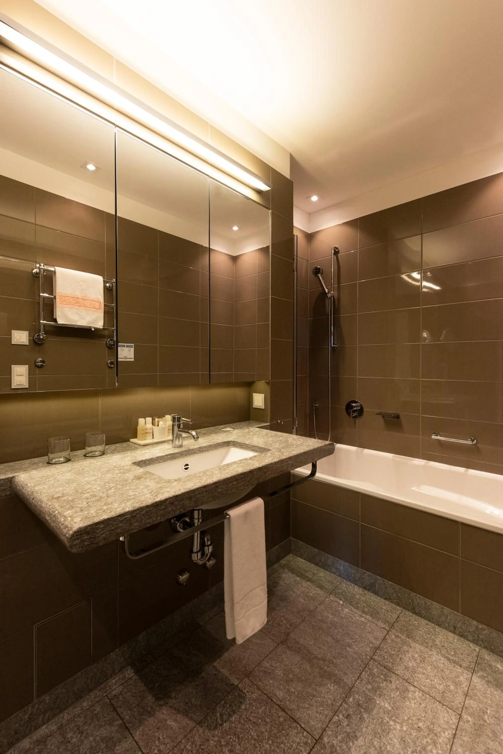 Photo of the whole room in Hotel Waldhaus Sils