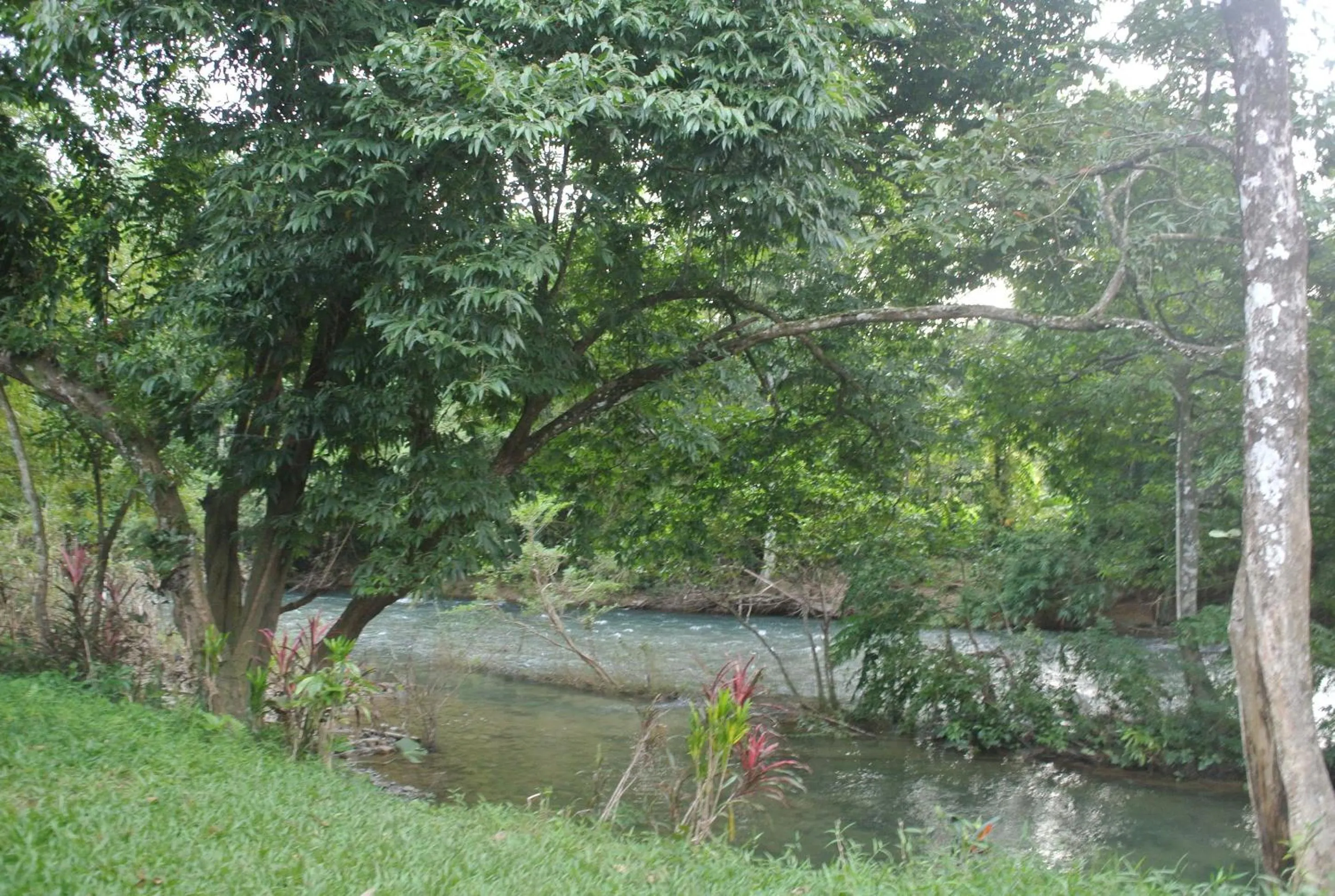 Khaosok Island Resort