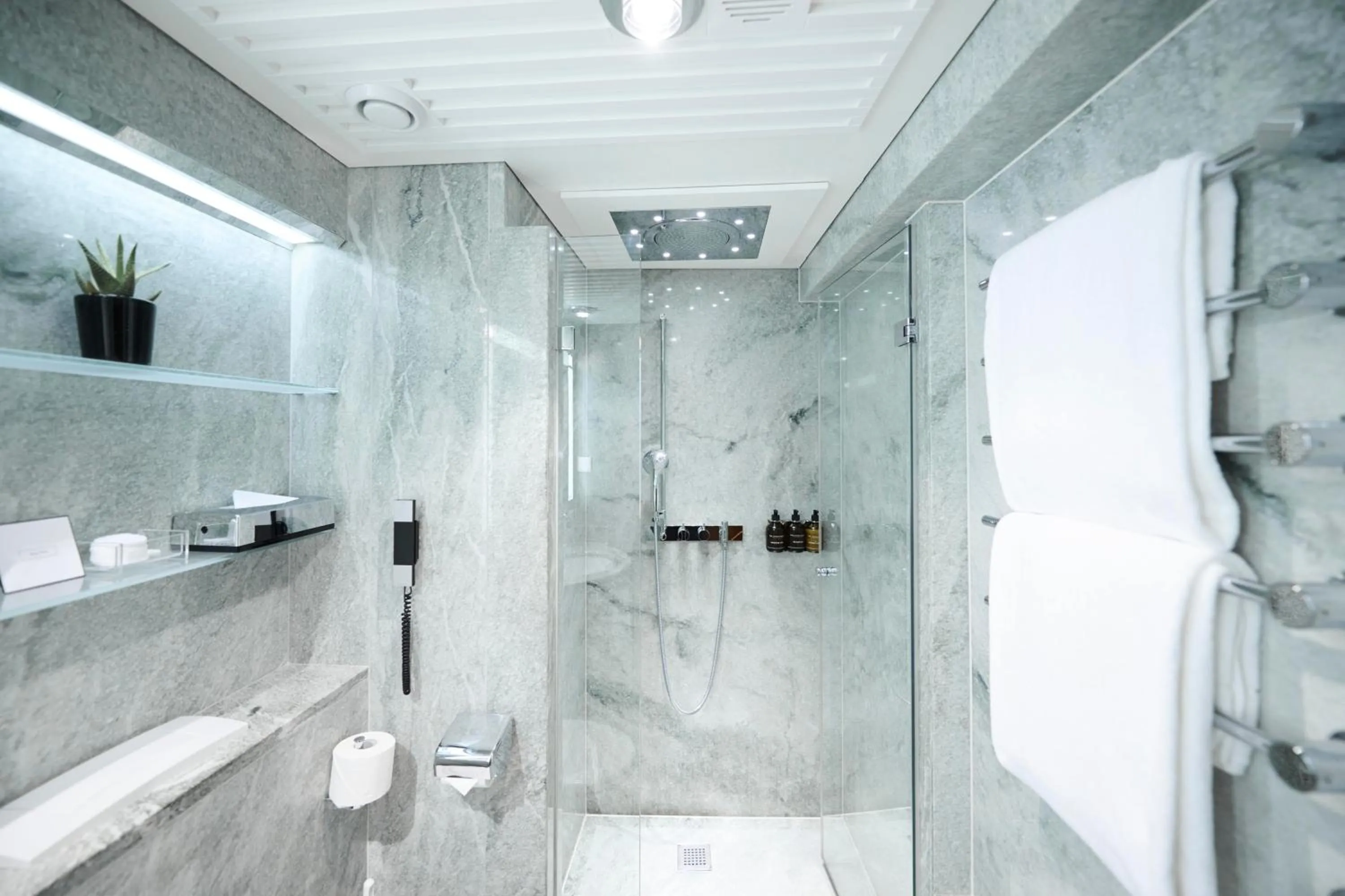 Shower in Widder Hotel - Zurichs Luxury Hideaway
