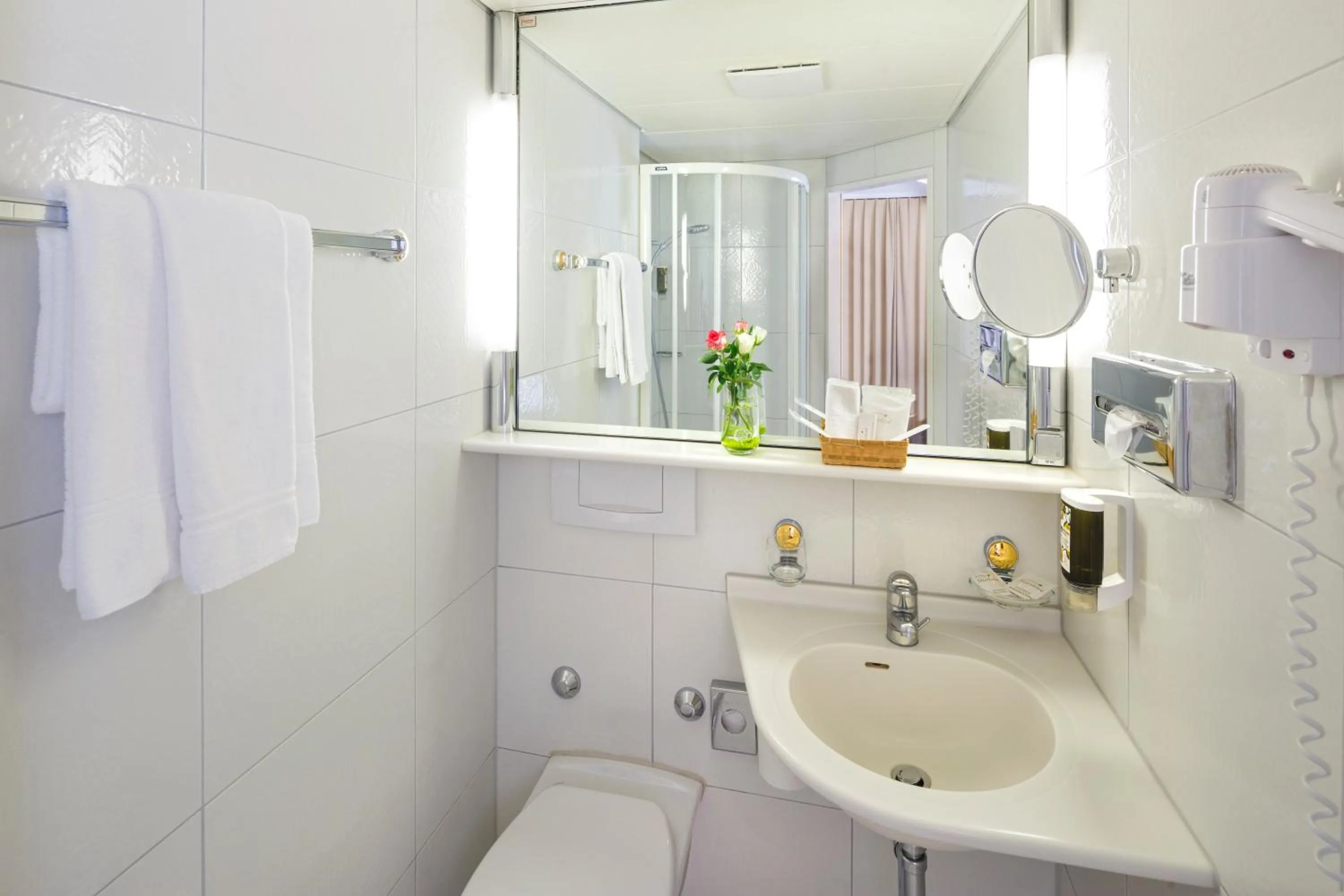 Shower in achesa homes