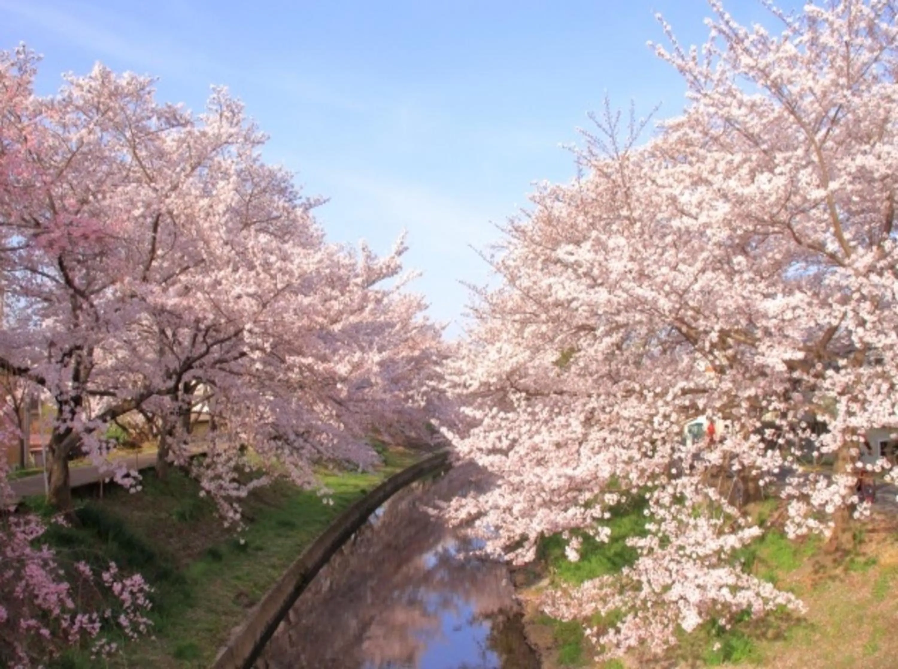 Nearby landmark in Henn na Hotel Premier Nara
