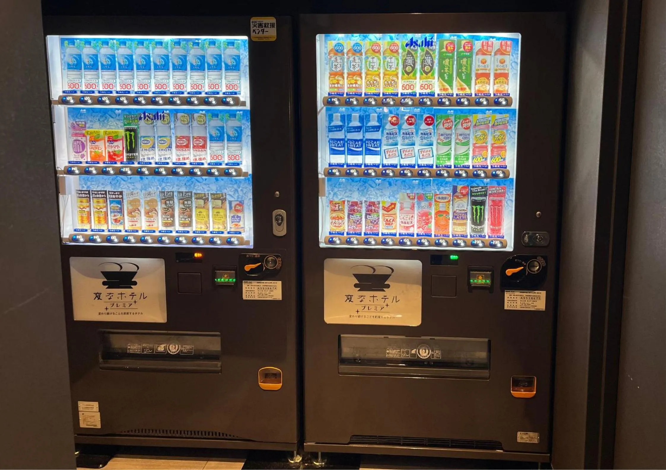 Other in Henn na Hotel Premier Nara