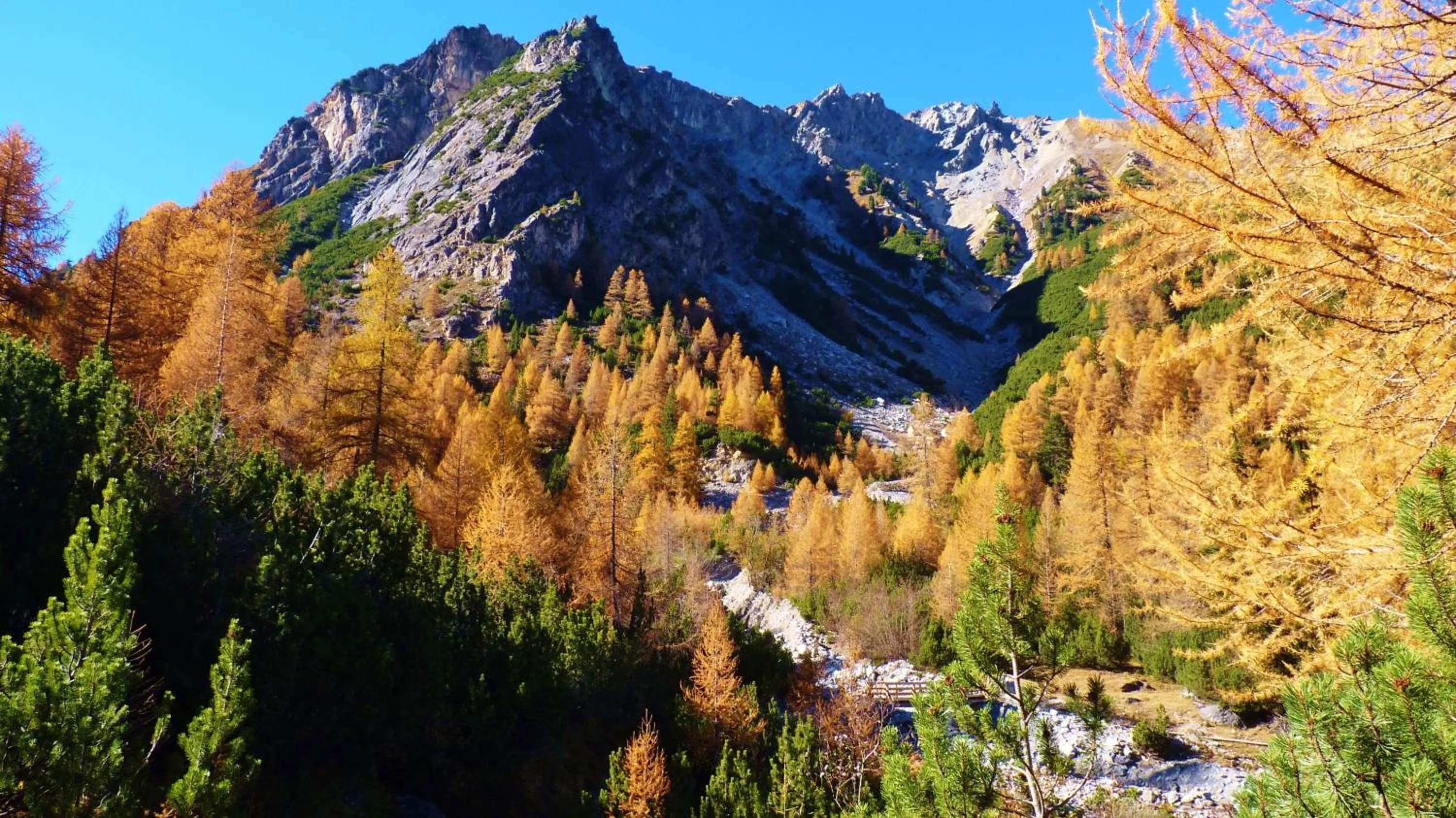 Activities in B&B Villa Stelvio