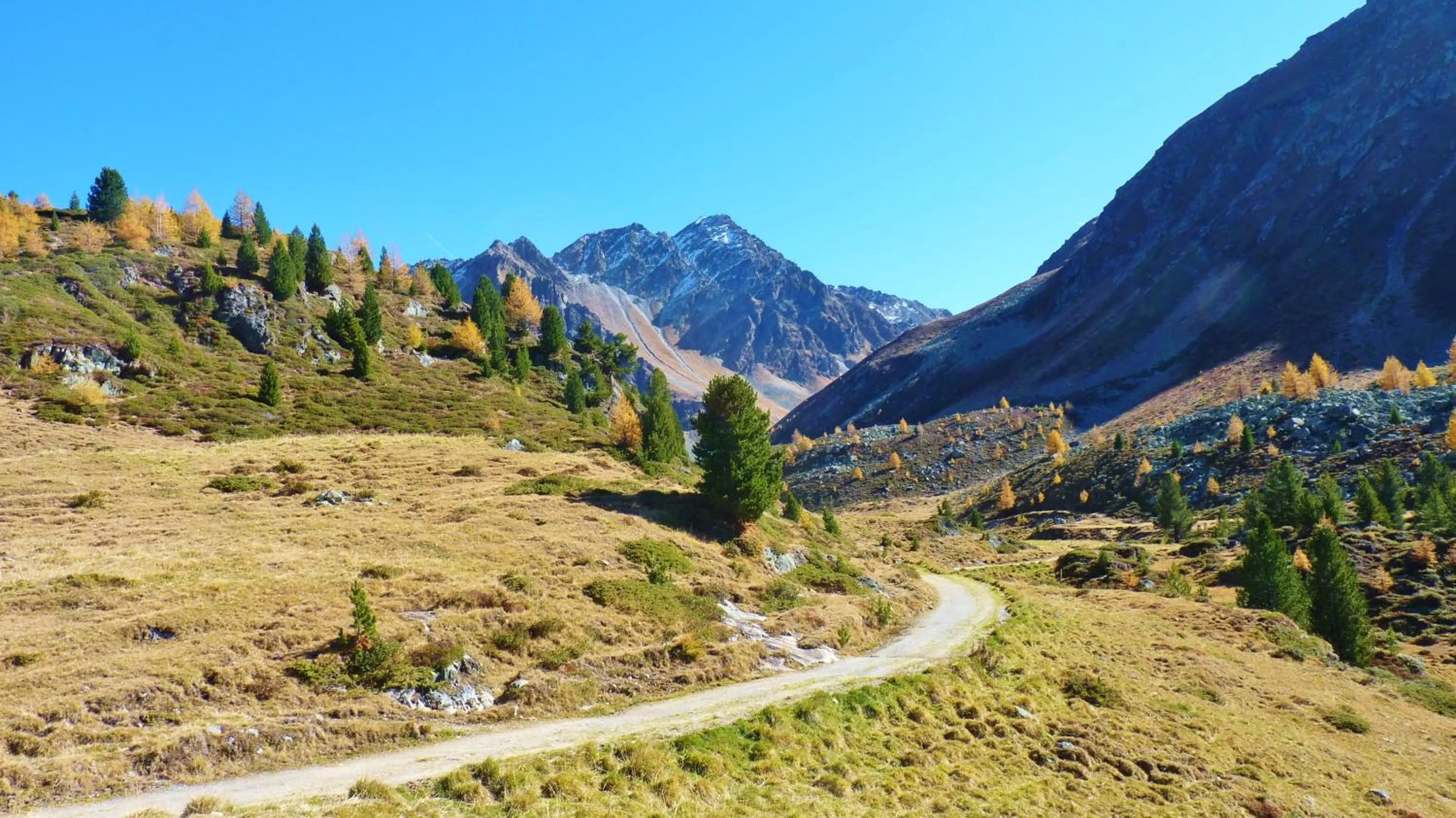Activities in B&B Villa Stelvio