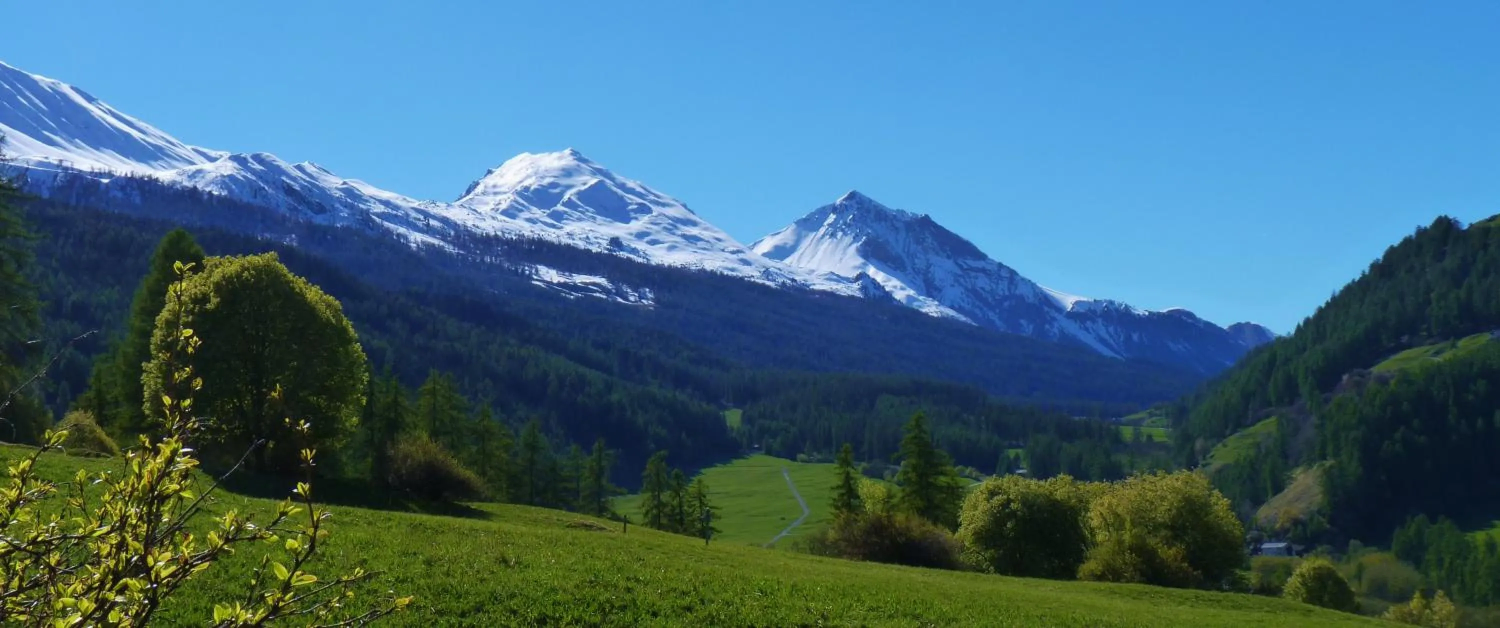Activities in B&B Villa Stelvio