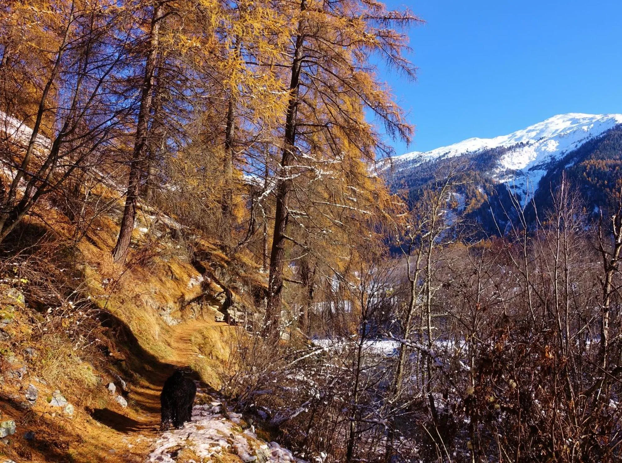 Hiking in B&B Villa Stelvio
