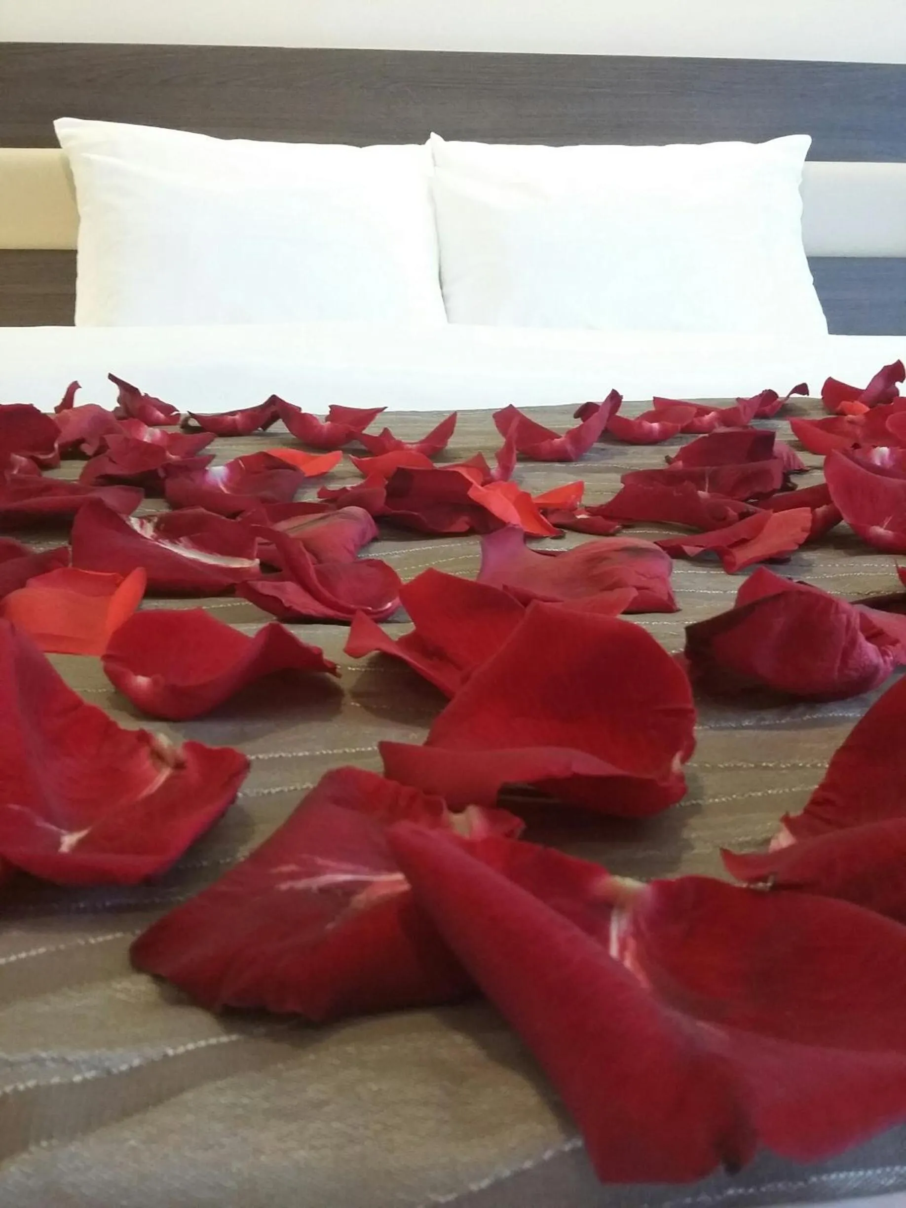 Seasons, Bed in Hotel Scapino