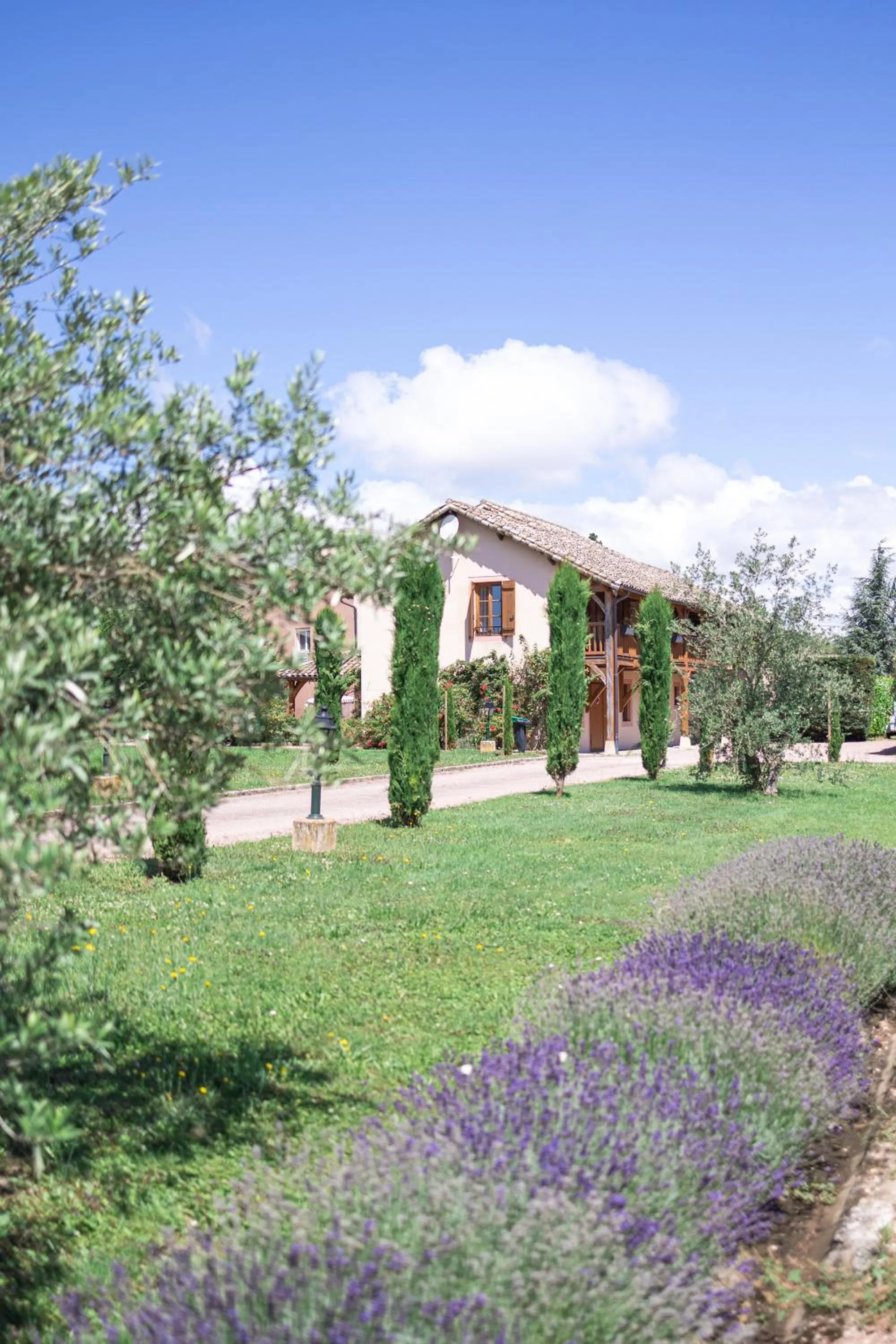 Natural landscape in Hotel Village Motel