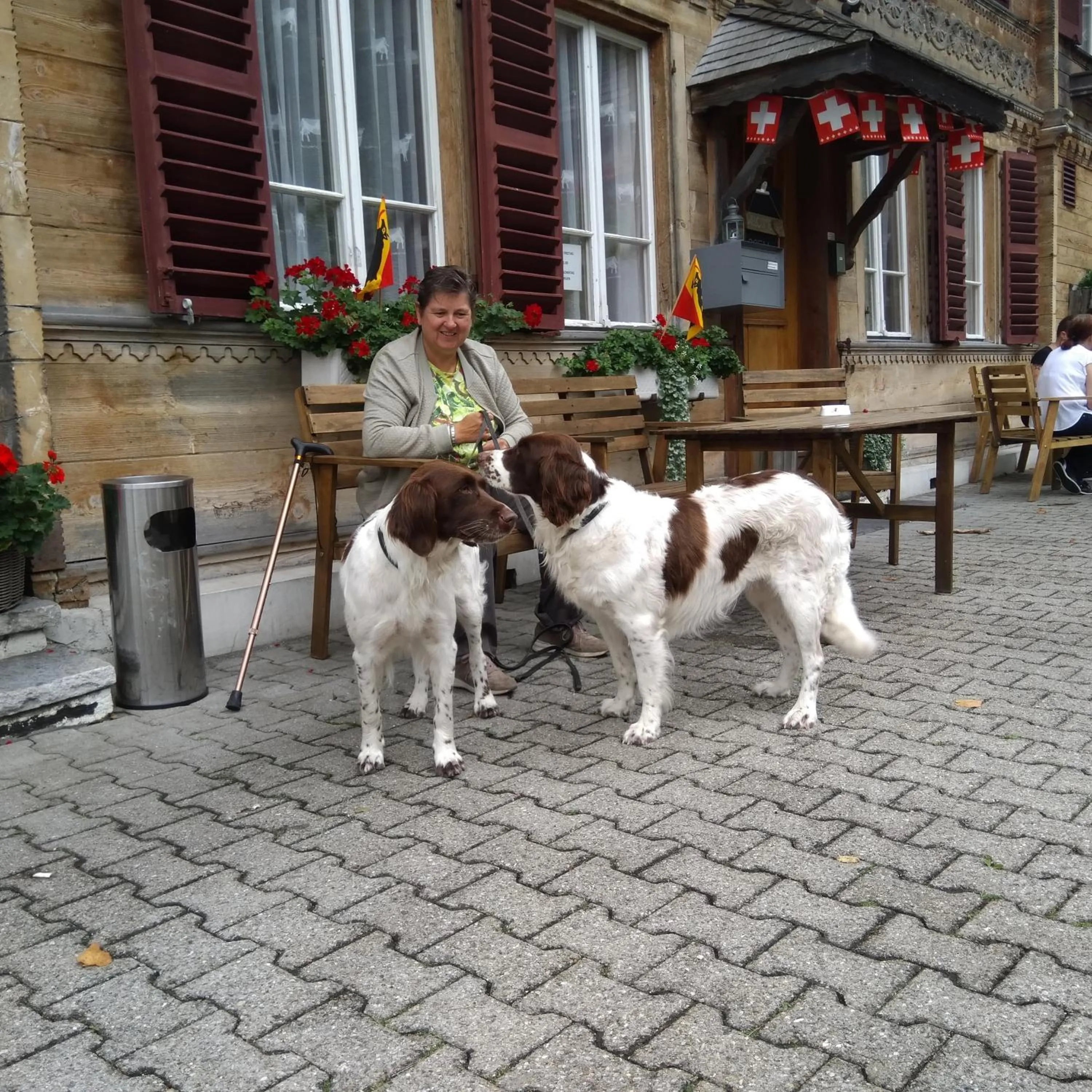 Pets in Gasthof Schoenegg B&B