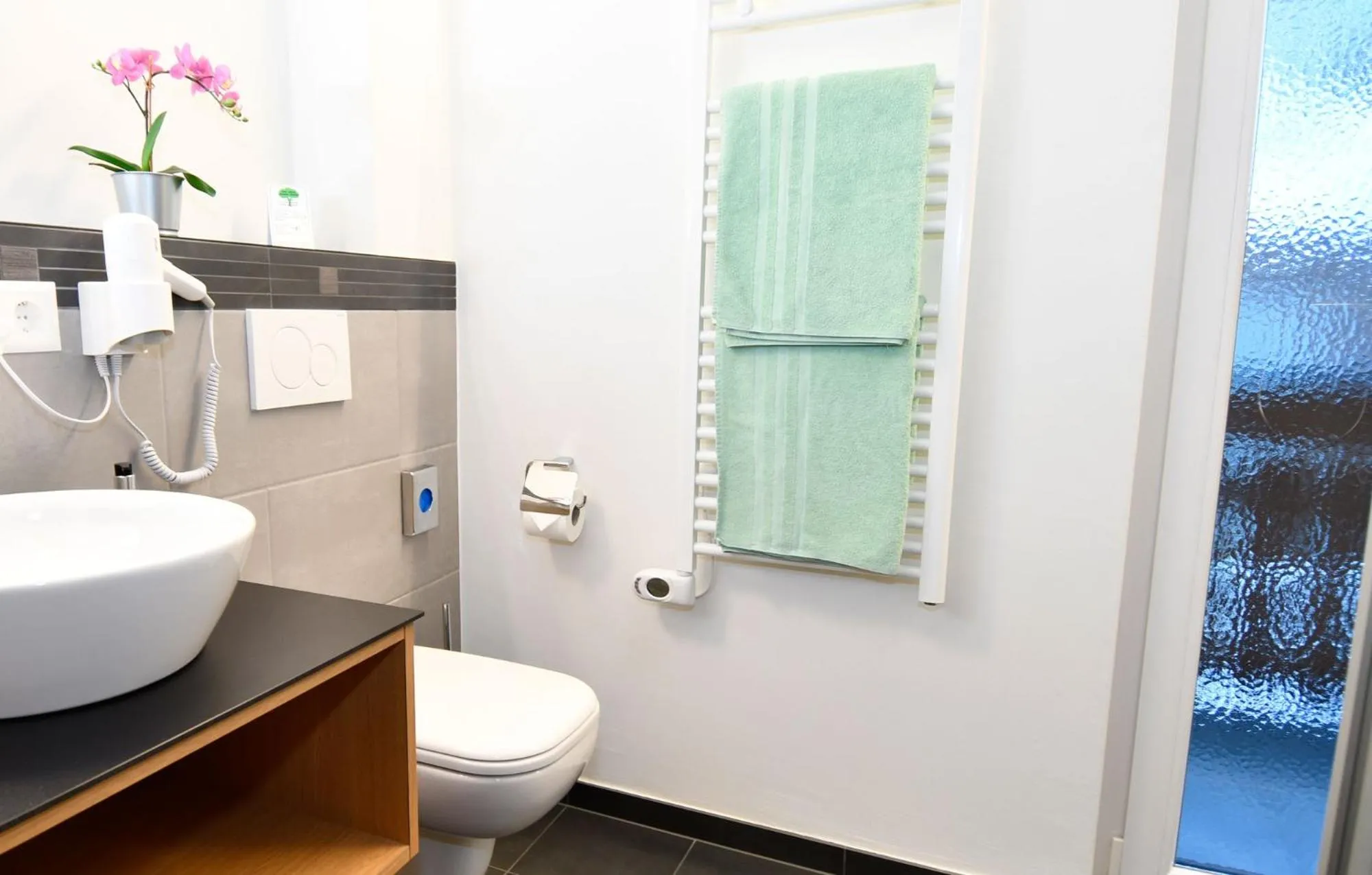 Toilet in Hotel Elite