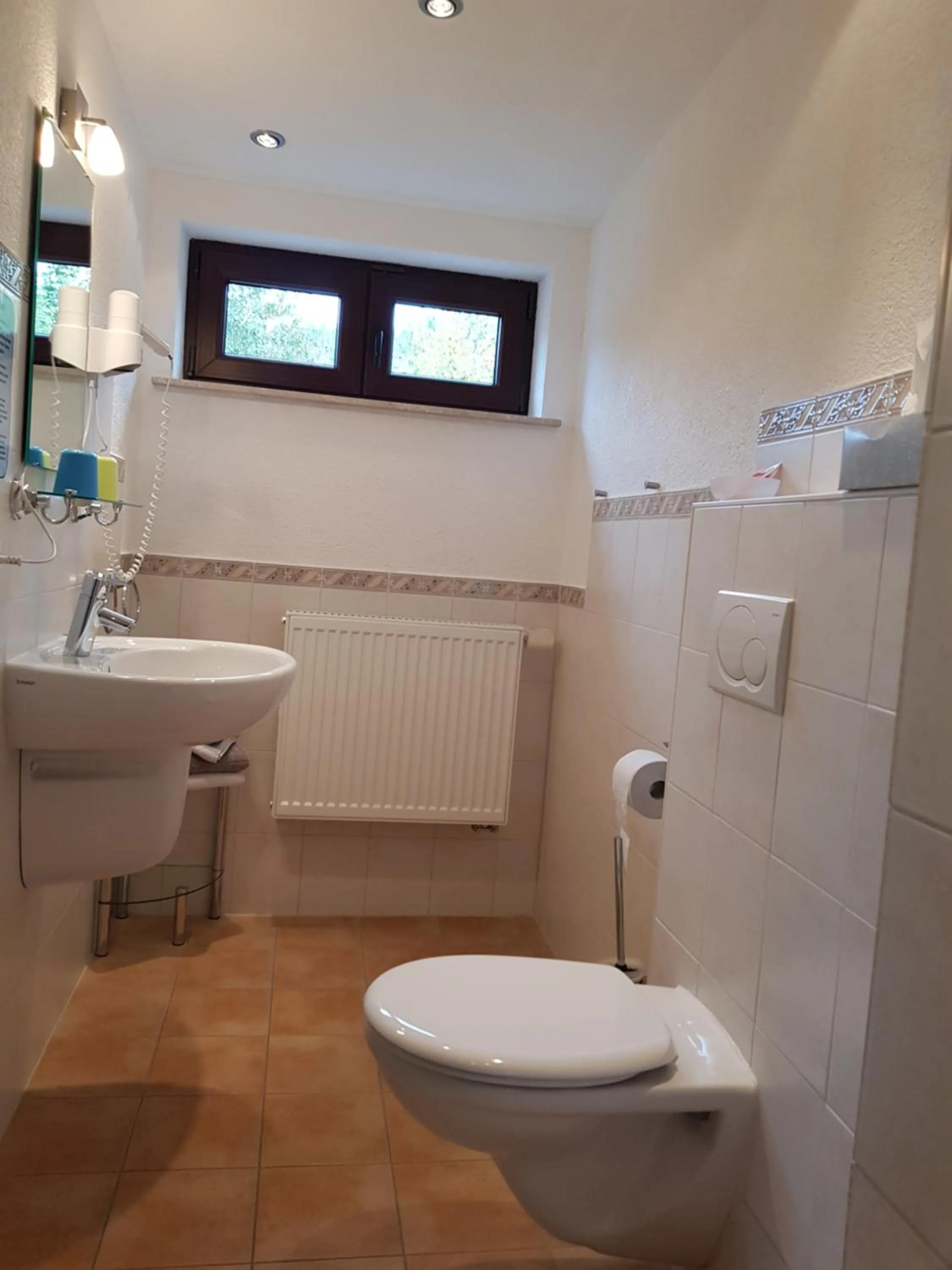 Toilet in Gasthof & Pension Erlengrund