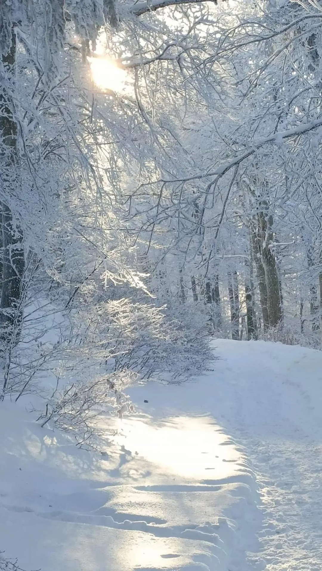 Winter in LA CLIMONTAINE