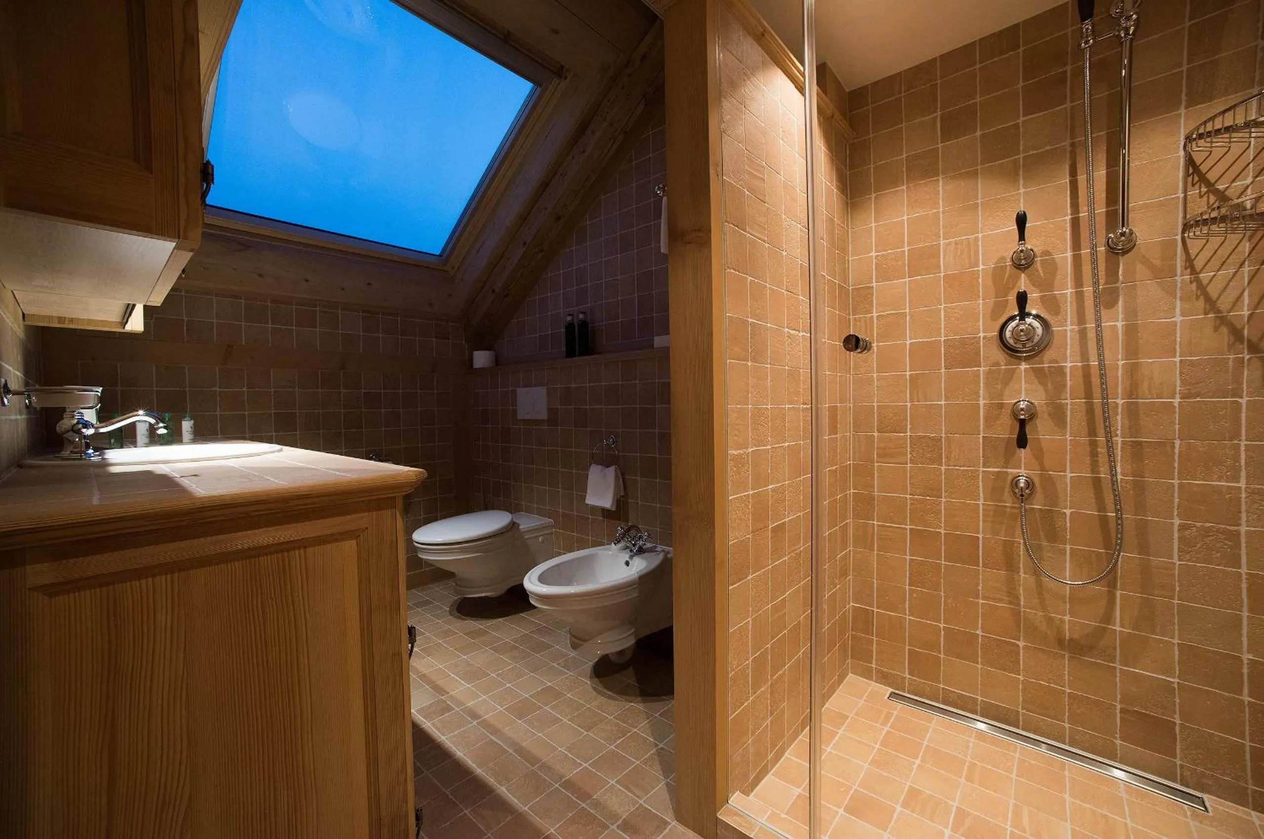 Shower in Hotel Olden