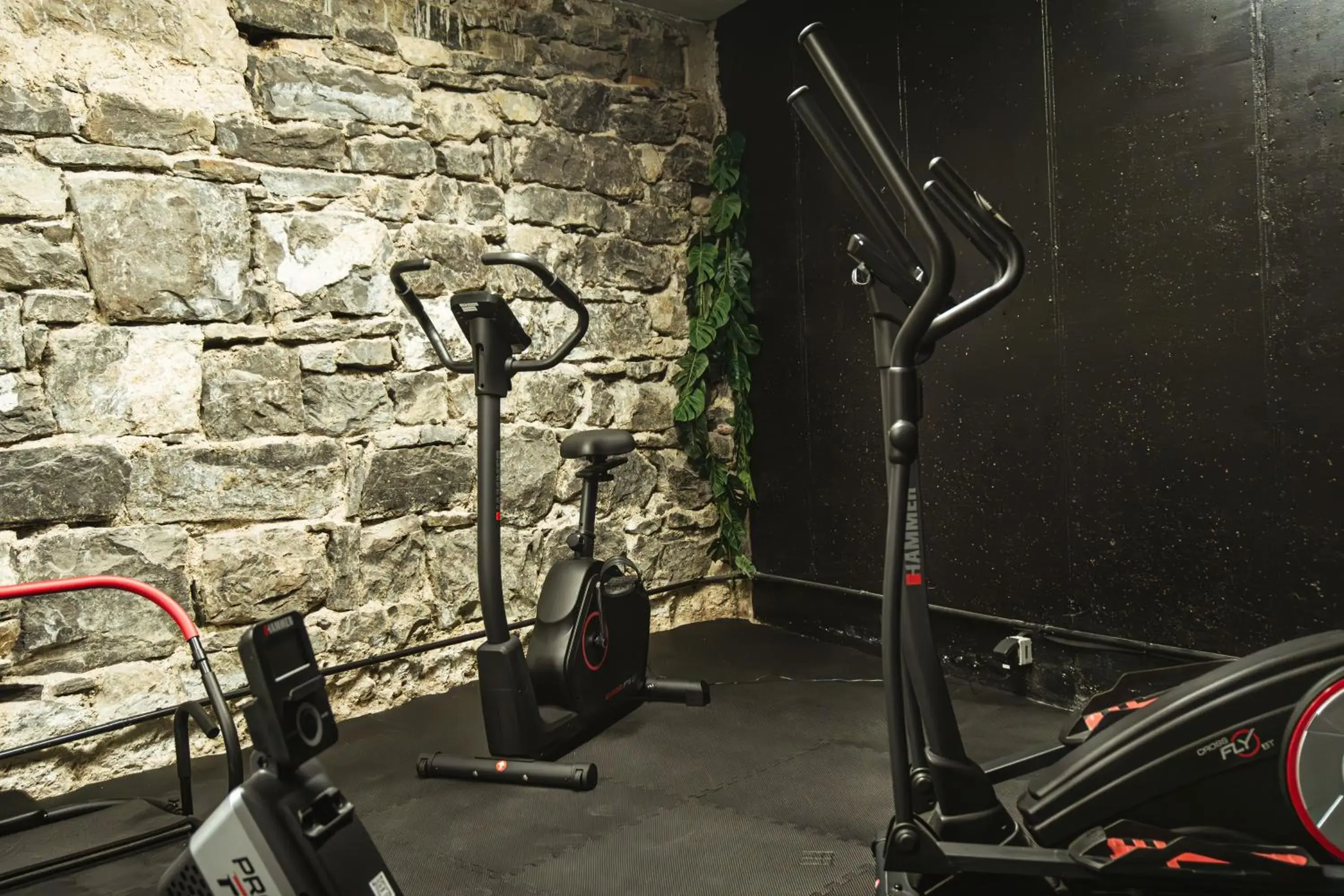 Fitness centre/facilities in Hotel Montbrillant Fitness centre/facilities in Hotel Montbrillant