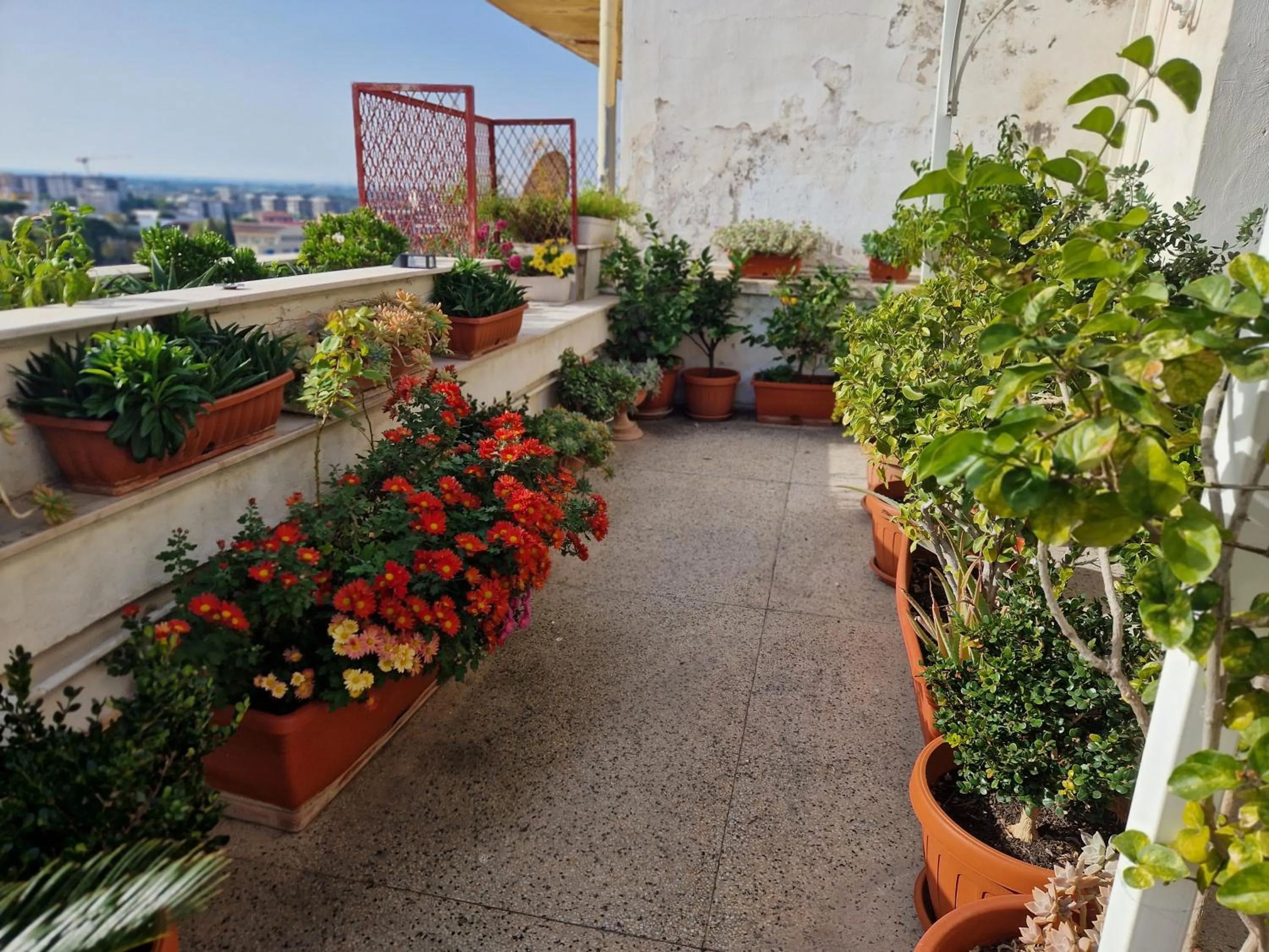 B&B GANAJ La terrazza di Ganaj BARI