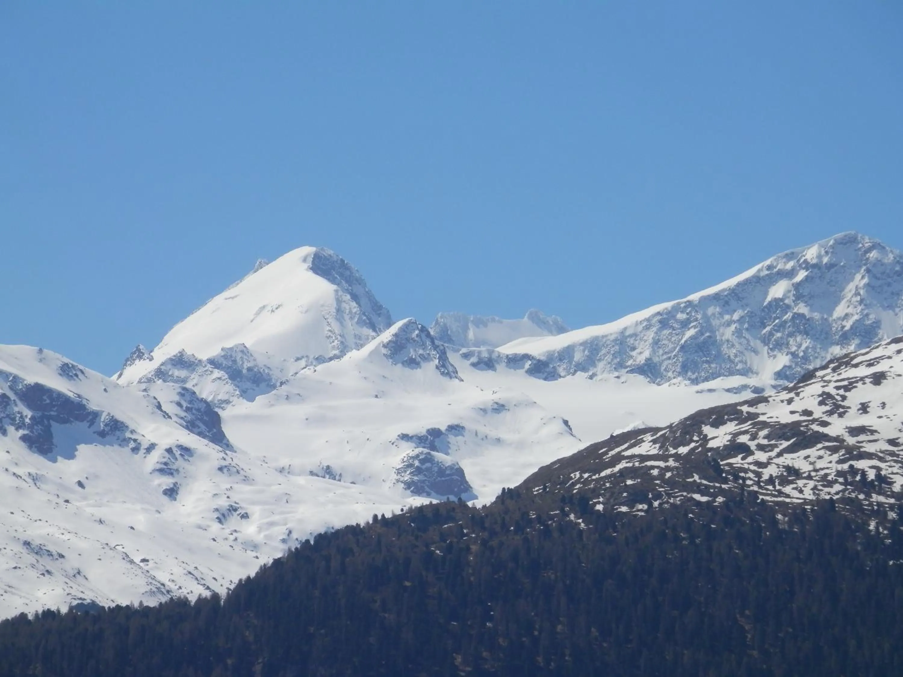 Spring in Palazzo Mysanus Samedan