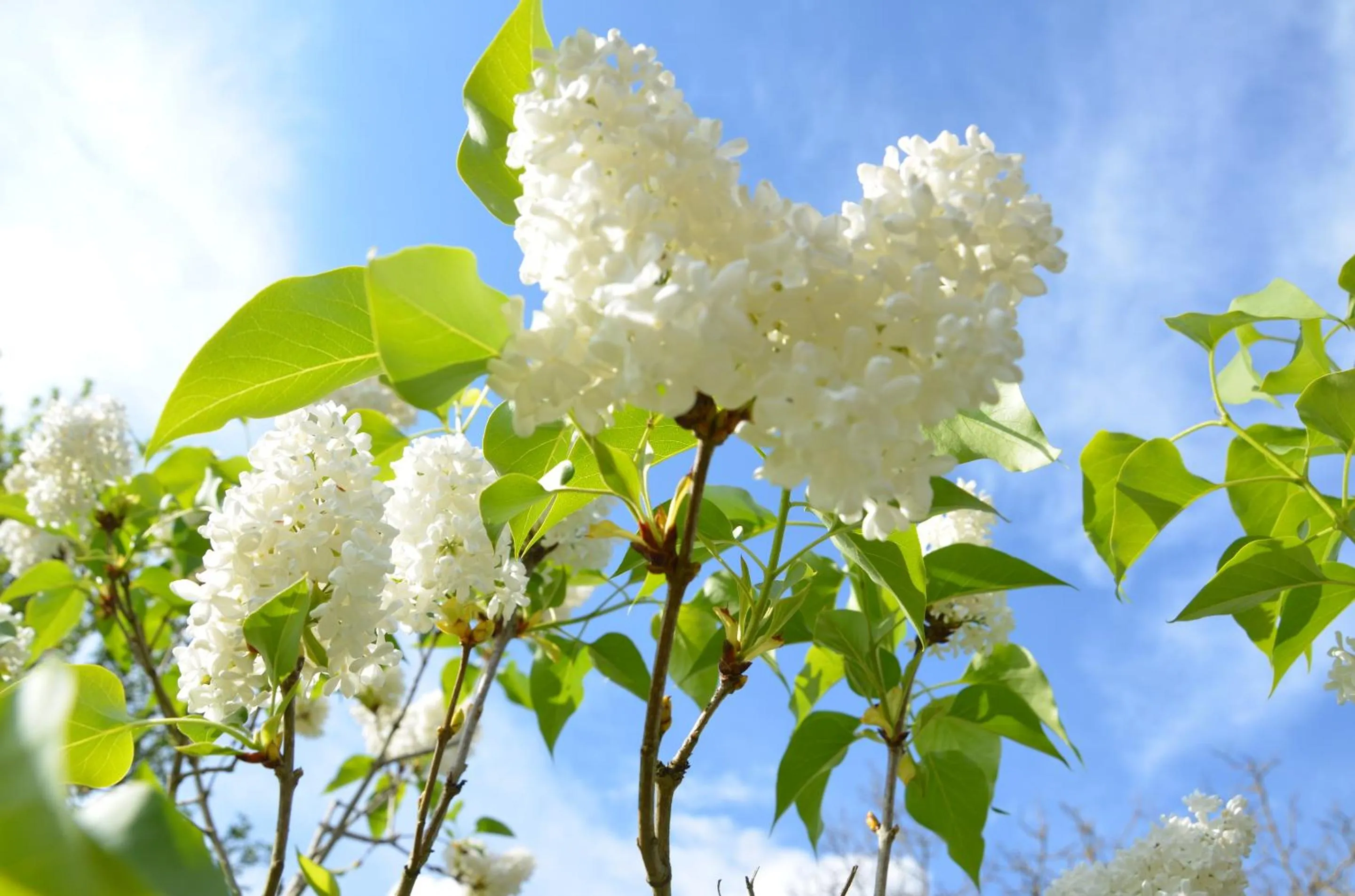 Garden in Ecogite Rural La Cle des Champs