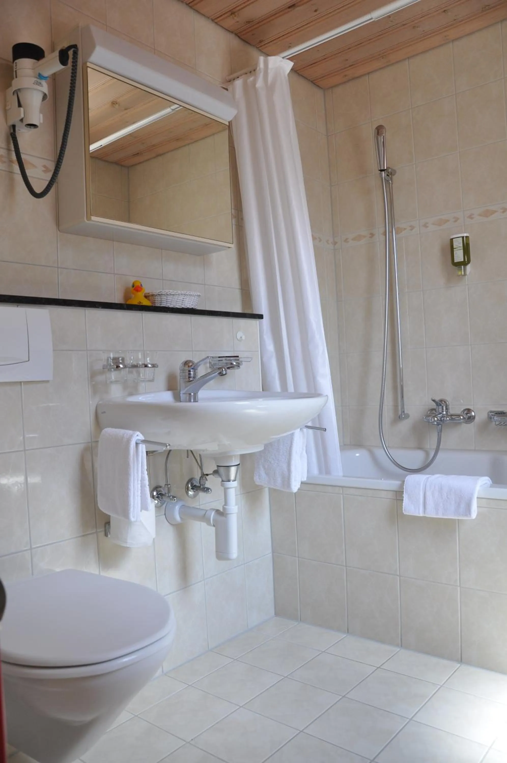 Bathroom in Hotel Edelweiss Superior