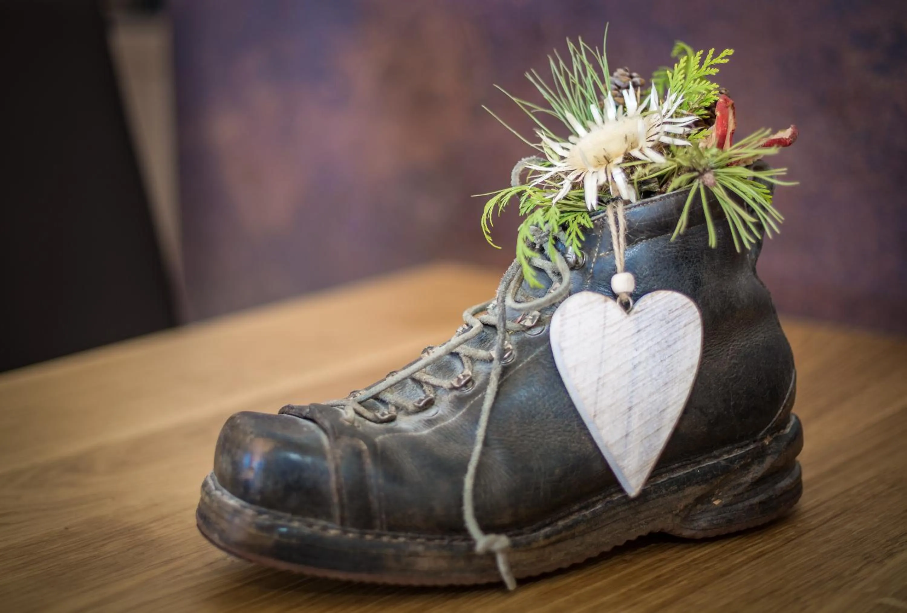 Other in Hotel Edelweiss Superior