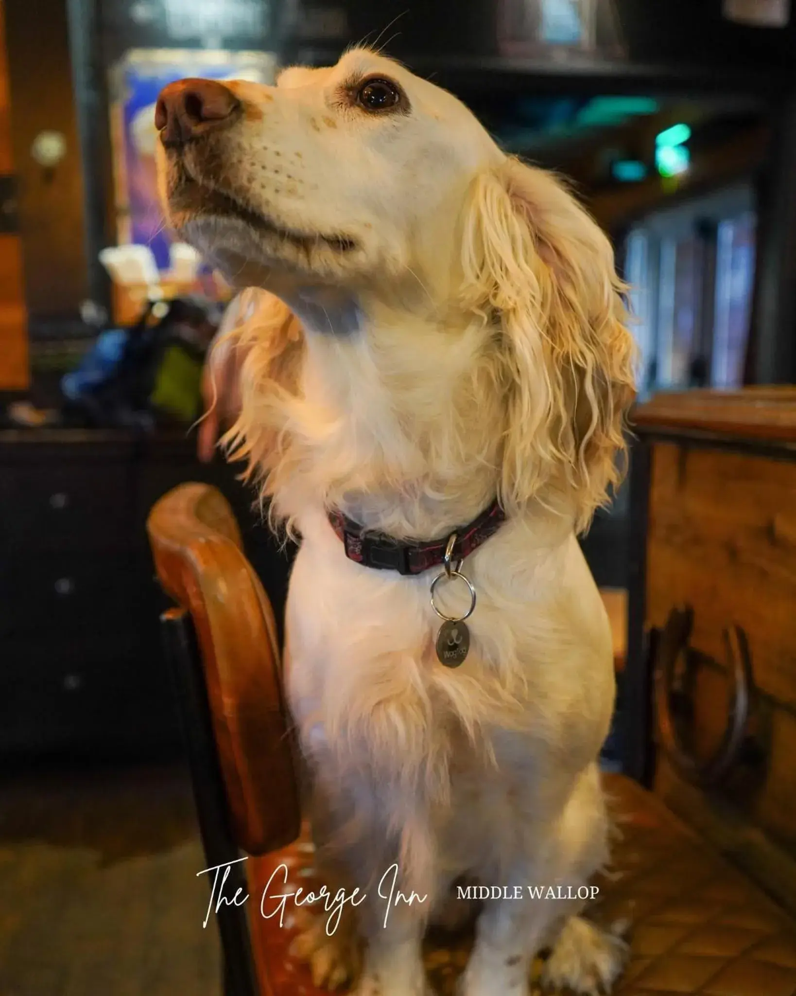 Property building in The George Inn Middle Wallop Property building in The George Inn Middle Wallop