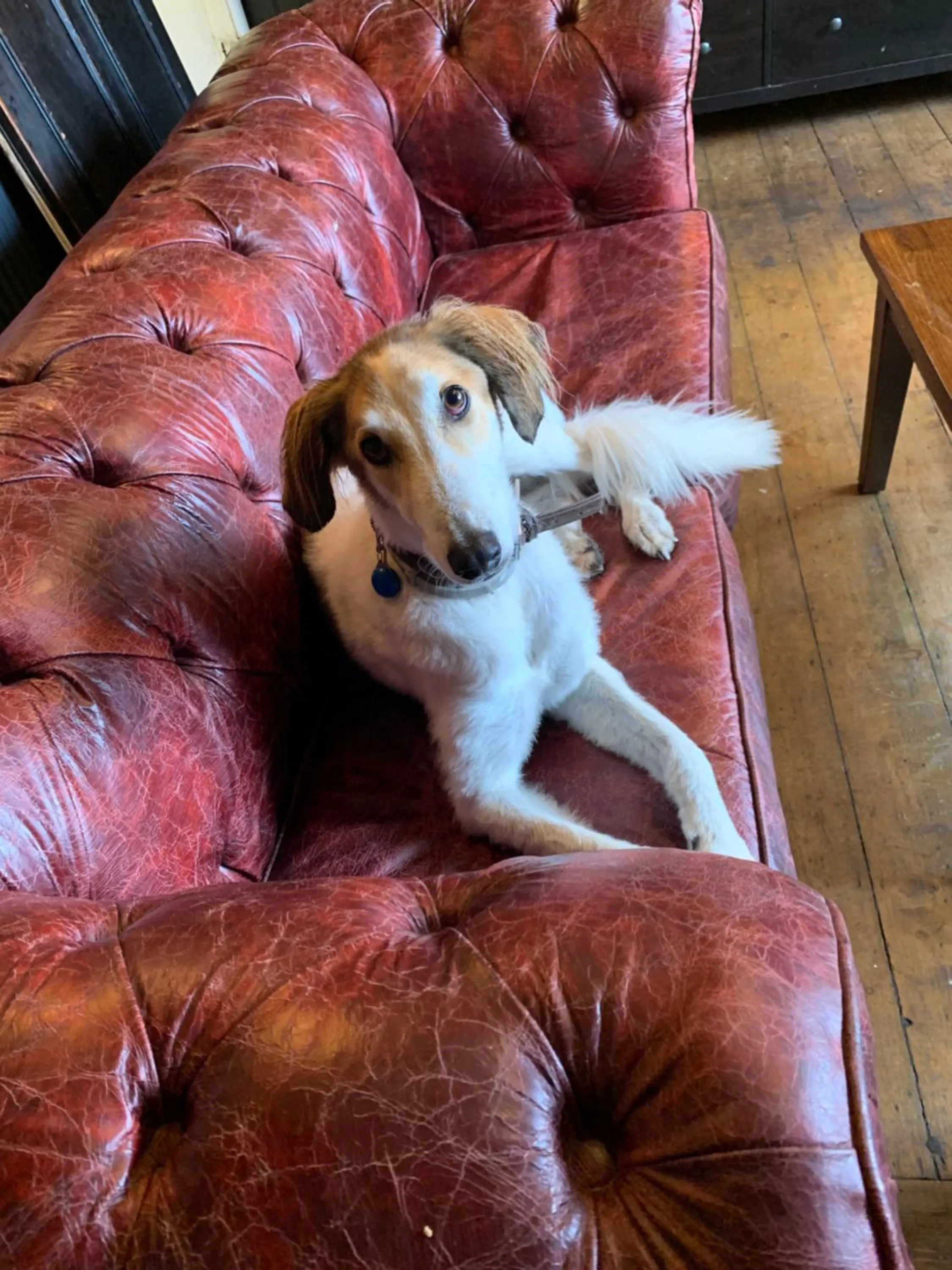 The George Inn Middle Wallop