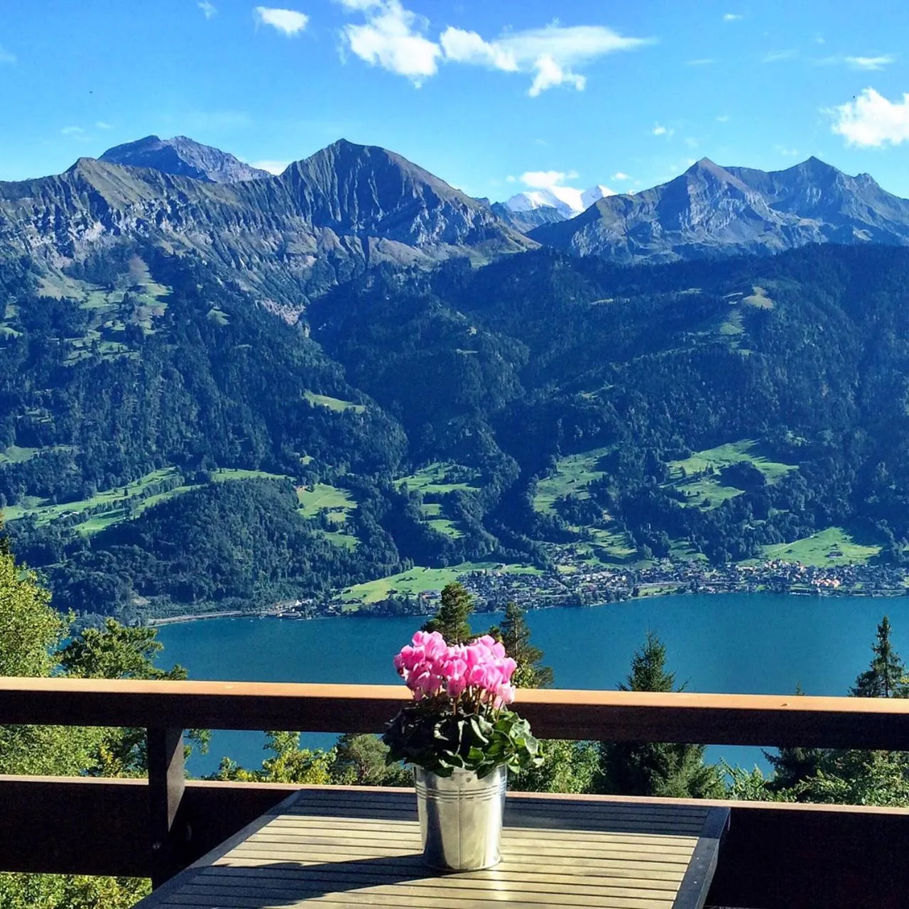 Restaurant/places to eat in Hotel Gloria