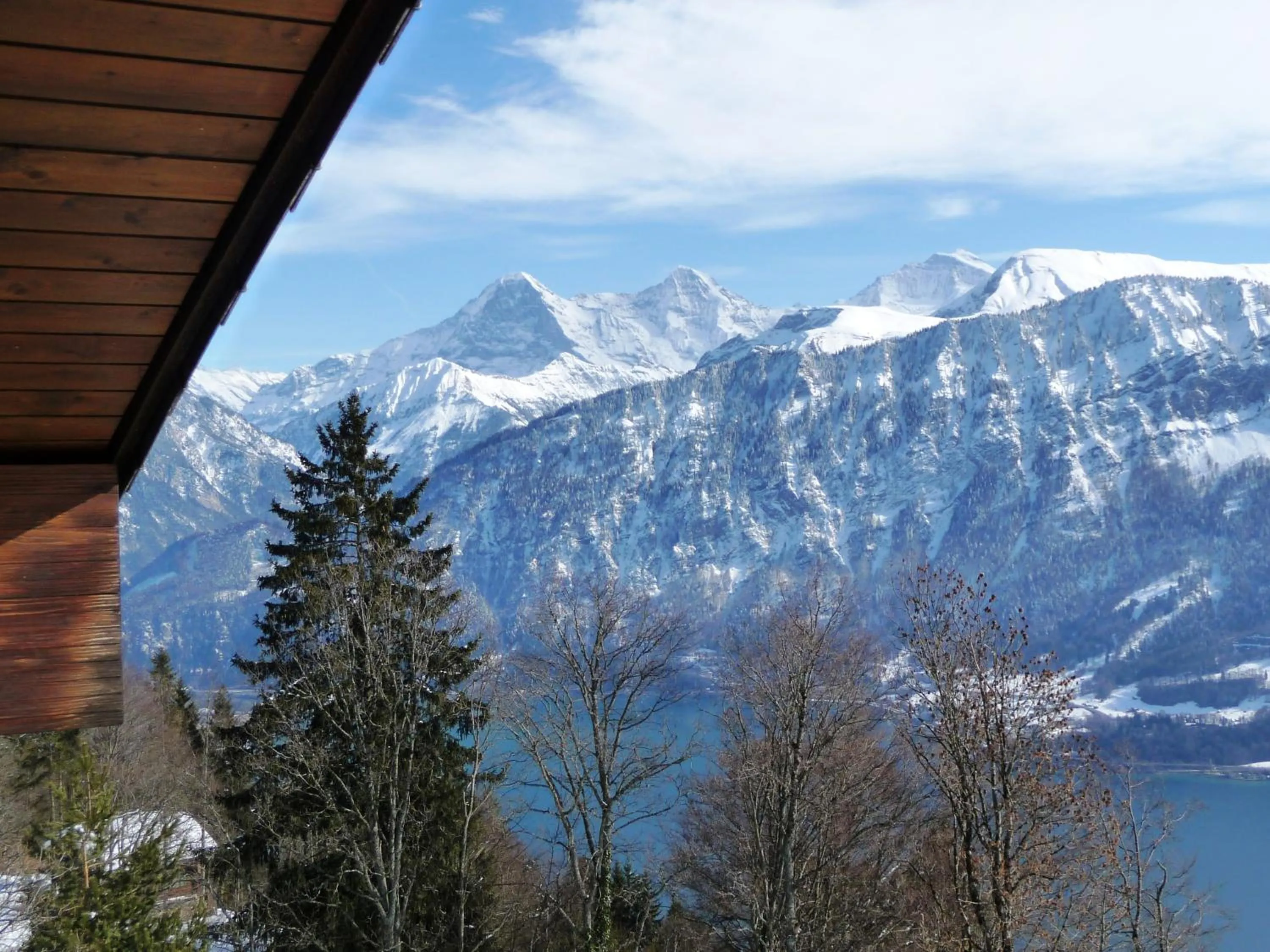 View (from property/room) in Hotel Gloria