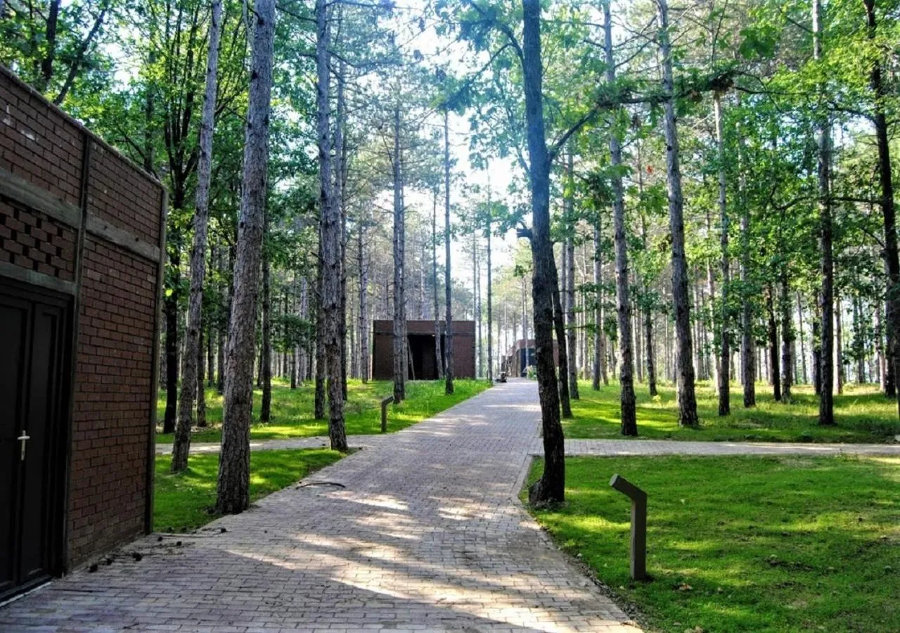 Garden in LONGOSPHERE GLAMPING