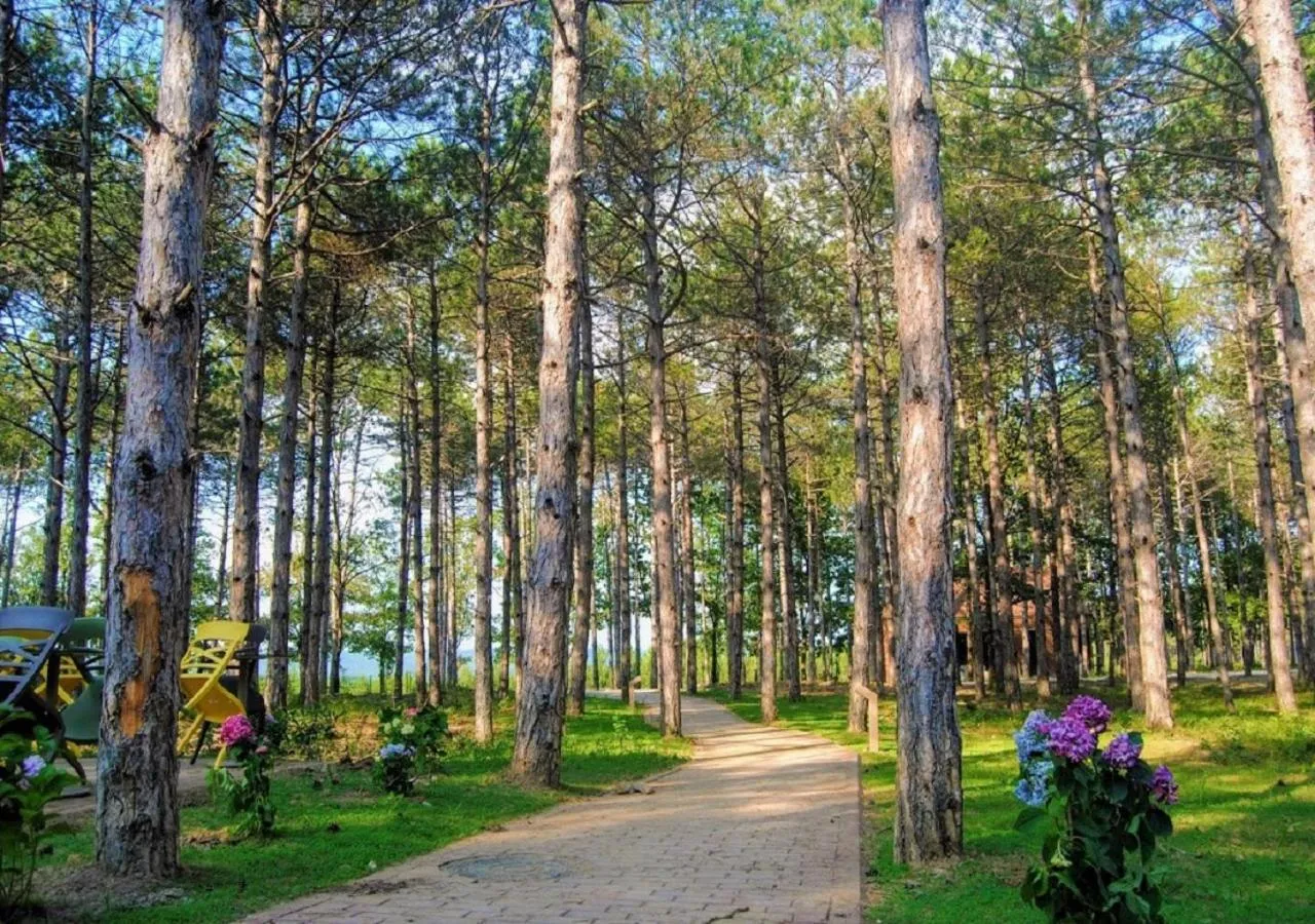 Garden in LONGOSPHERE GLAMPING