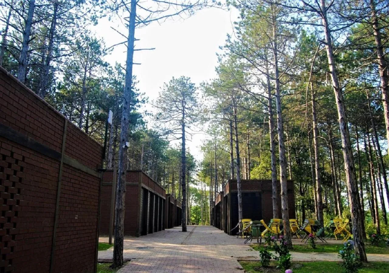 Garden in LONGOSPHERE GLAMPING