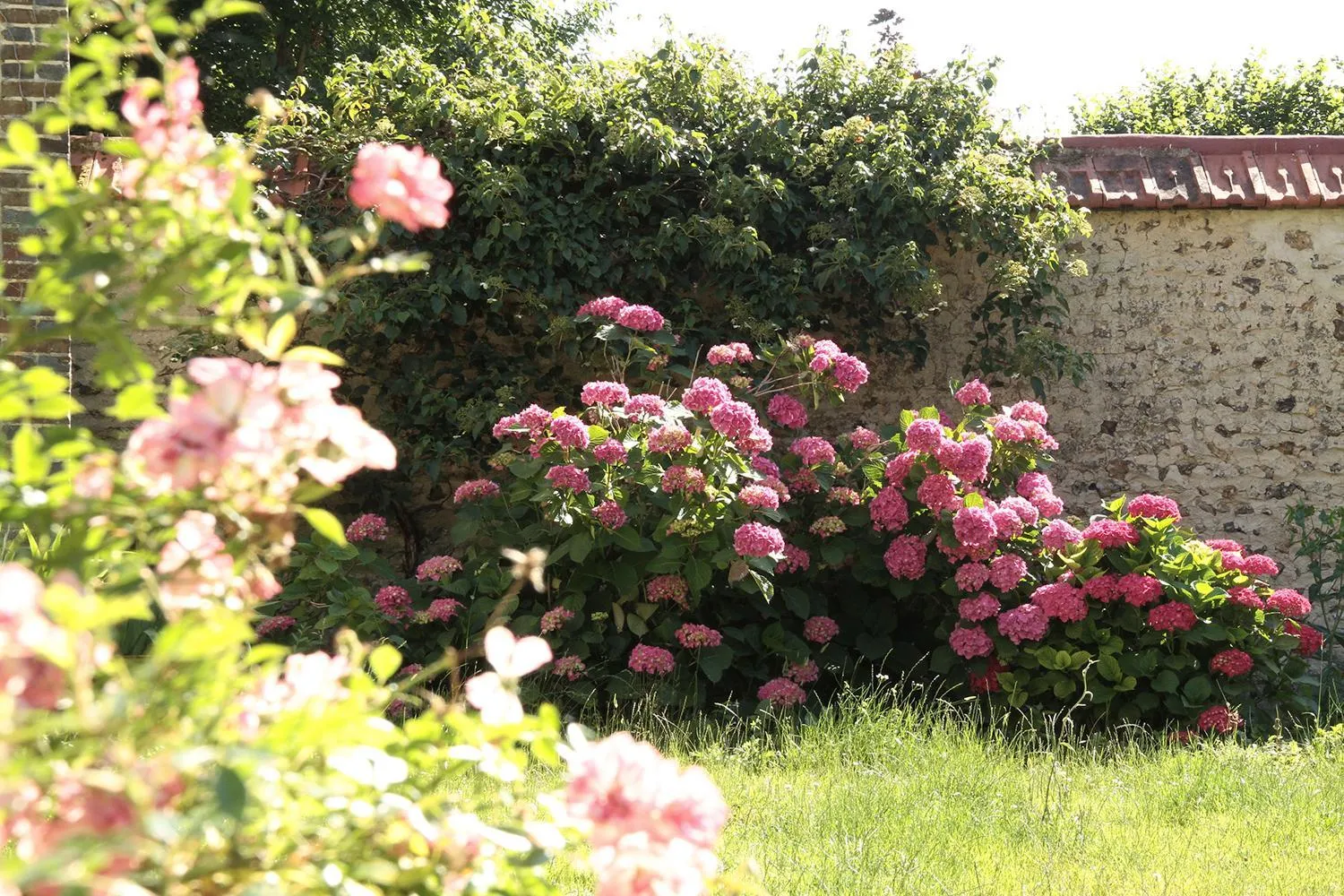 Garden in Le clos des artistes - Chambres d'hôtes