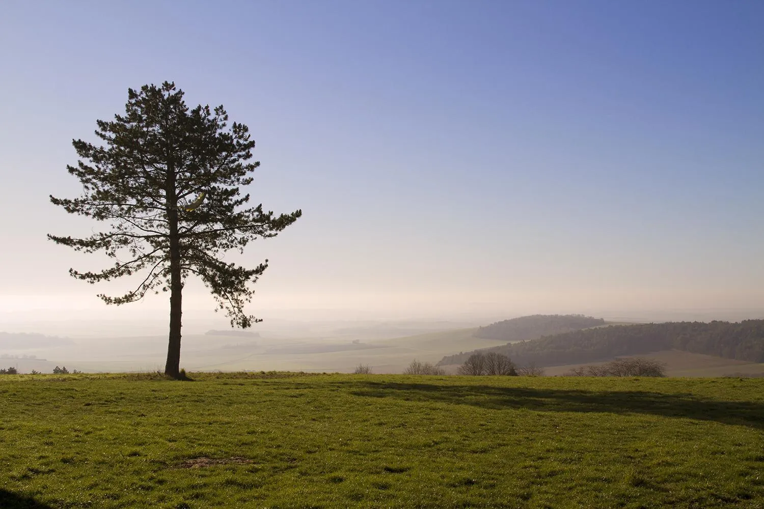 Natural landscape in Le clos des artistes - Chambres d'hôtes