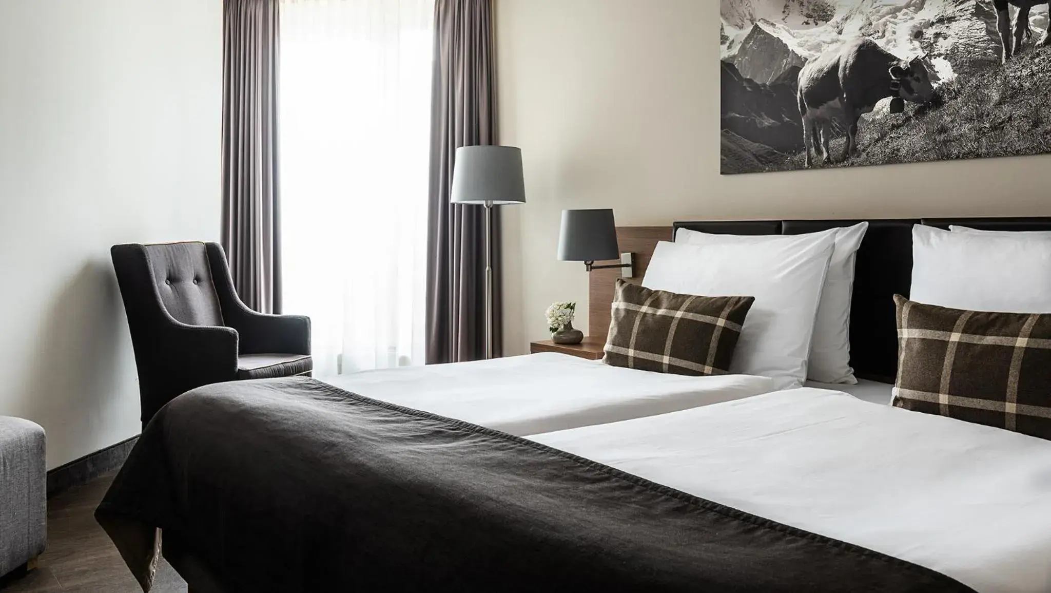 Comfort Double Room in AMERON Luzern Hotel Flora Comfort Double Room in AMERON Luzern Hotel Flora