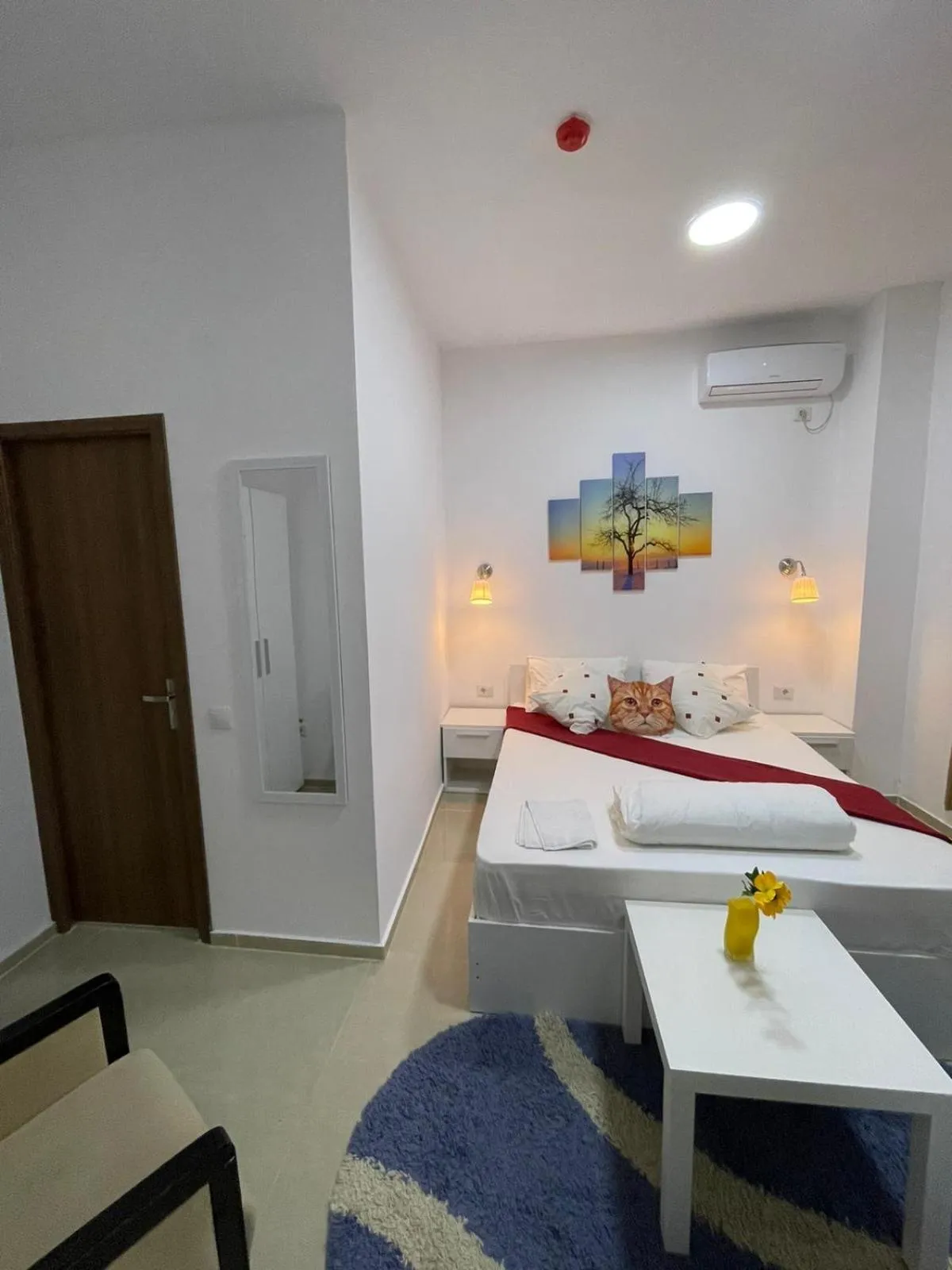 Bed in Hostel Tripoli Palace