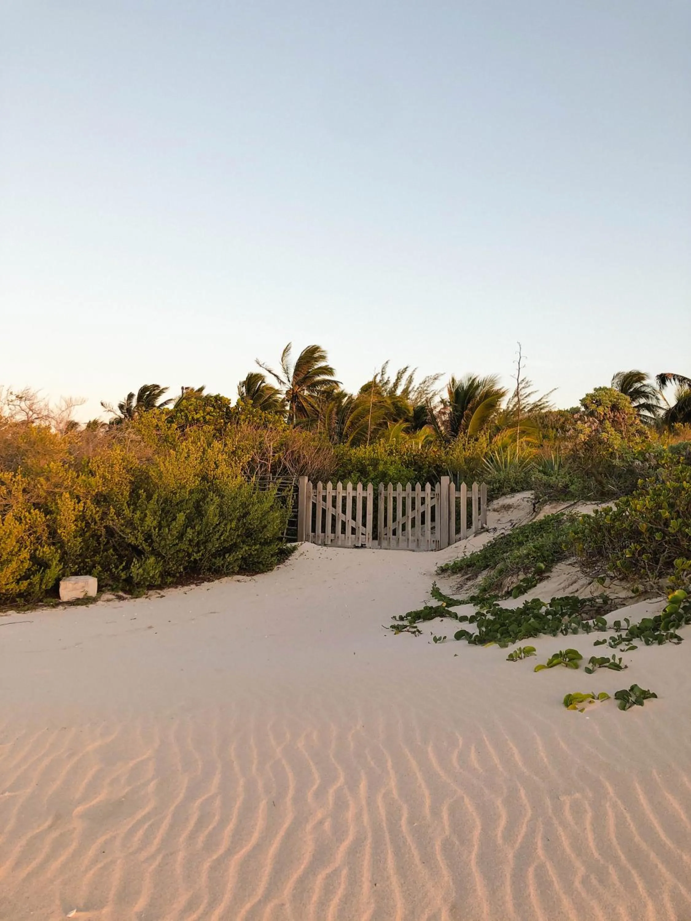 Beach in Club de Patos