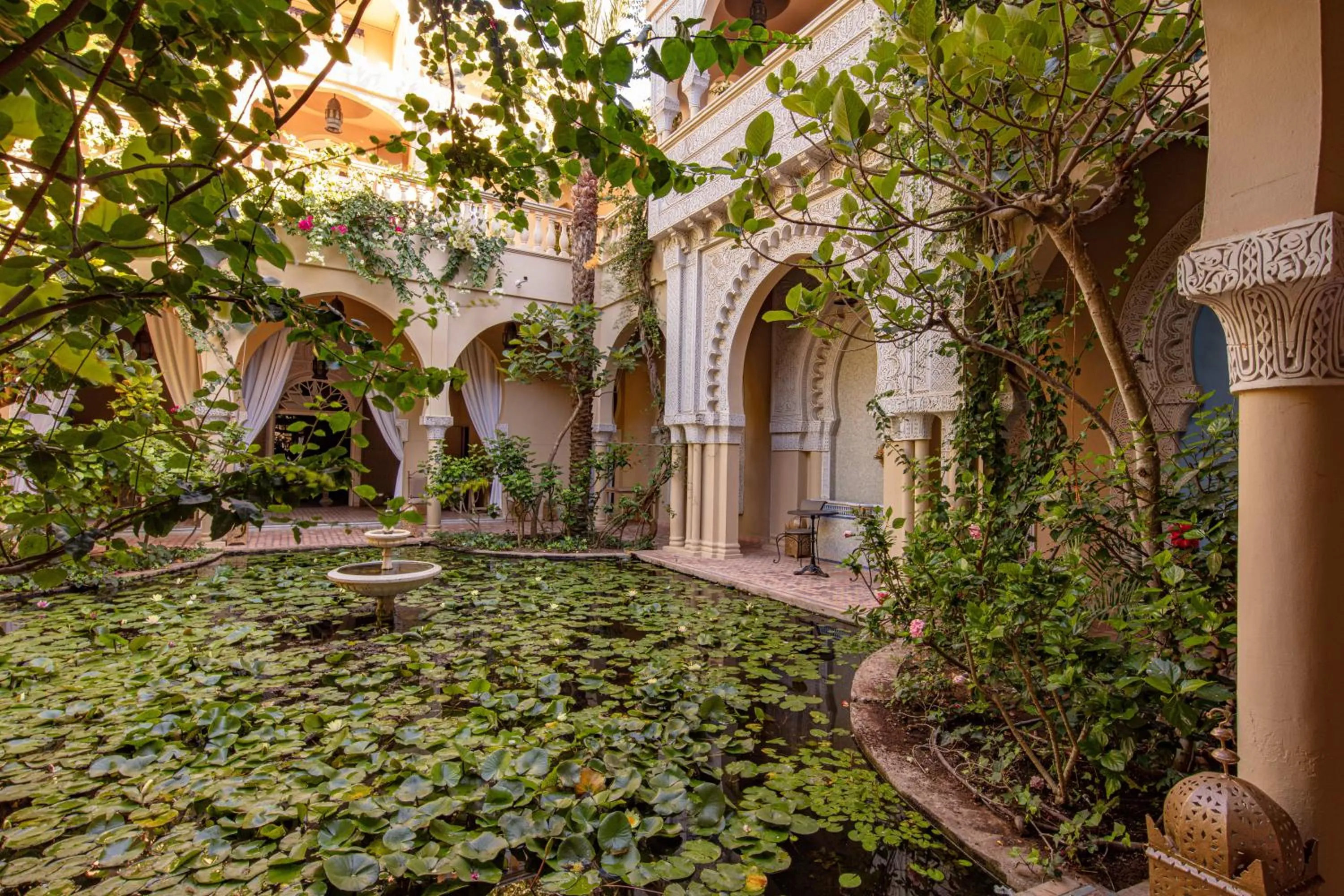 Garden in Riad Dar El Malaika